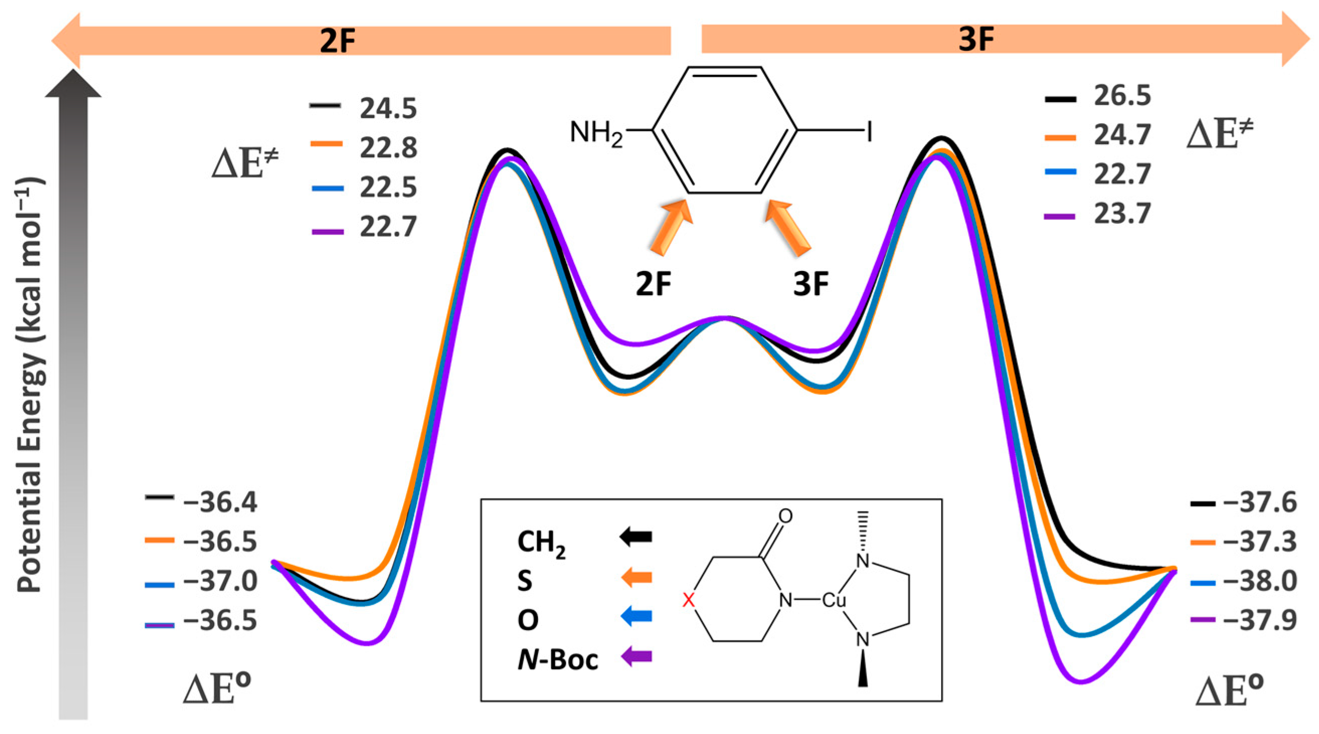 Molecules 29 01770 g001