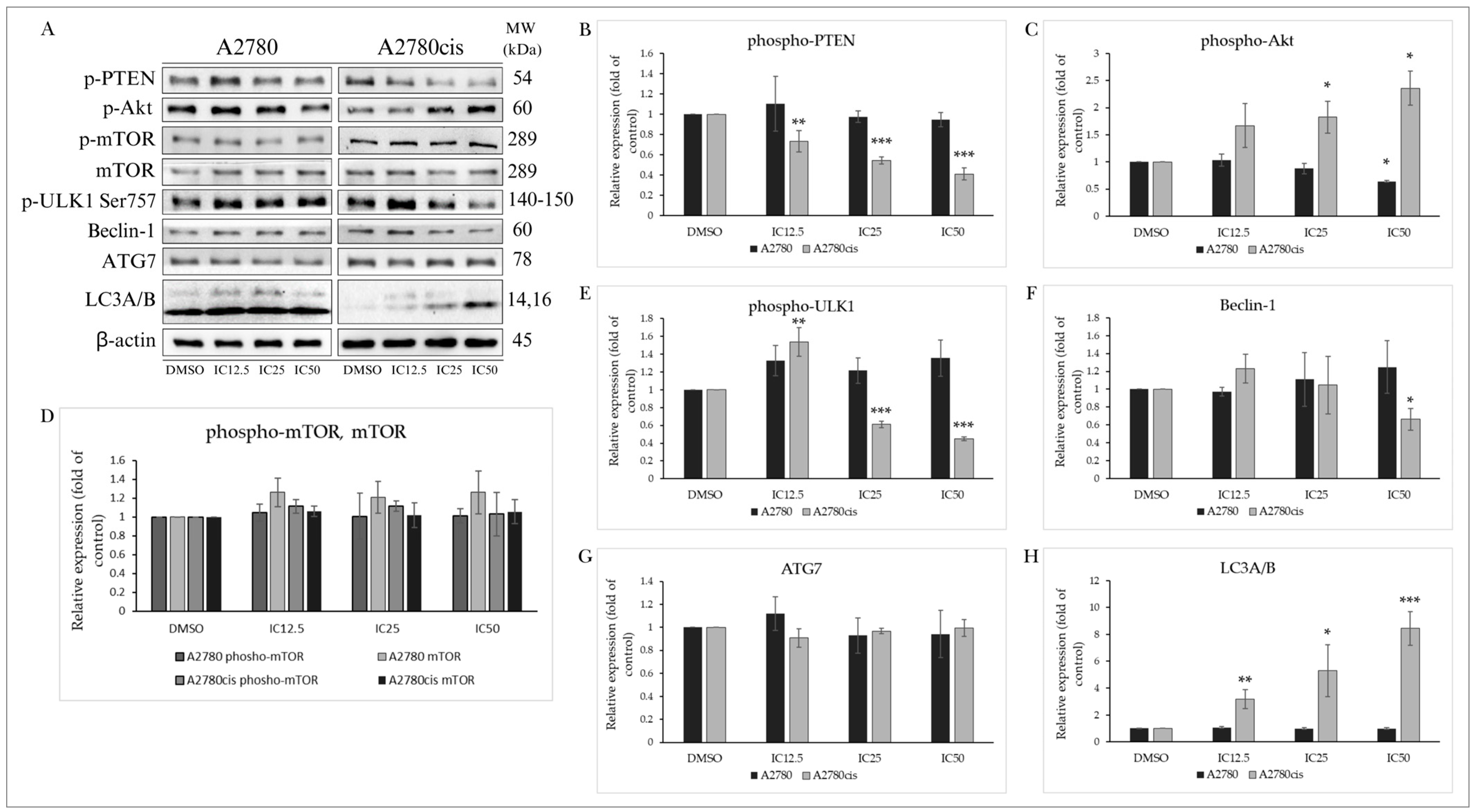 Molecules 29 01773 g006