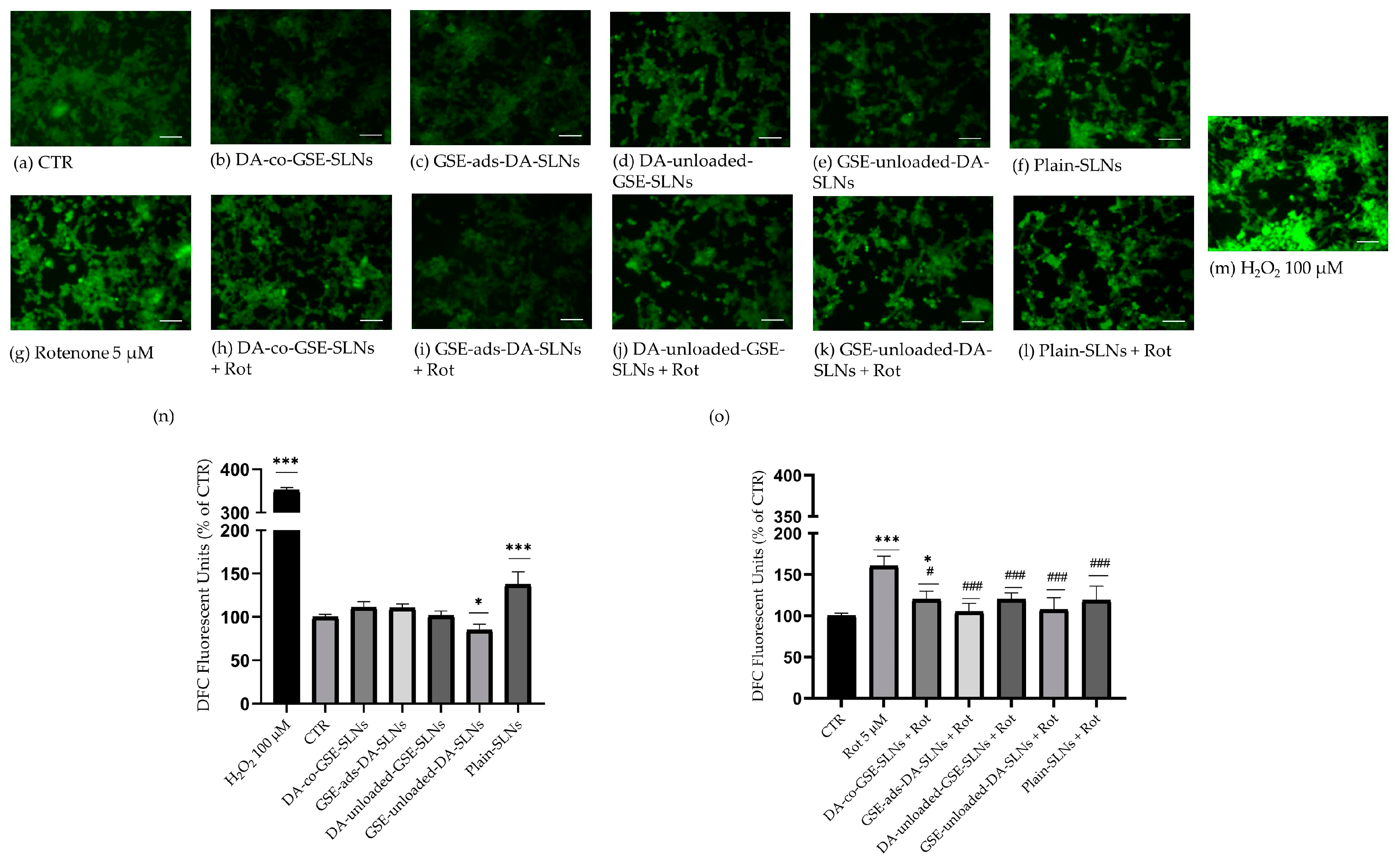 Molecules 29 01774 g003