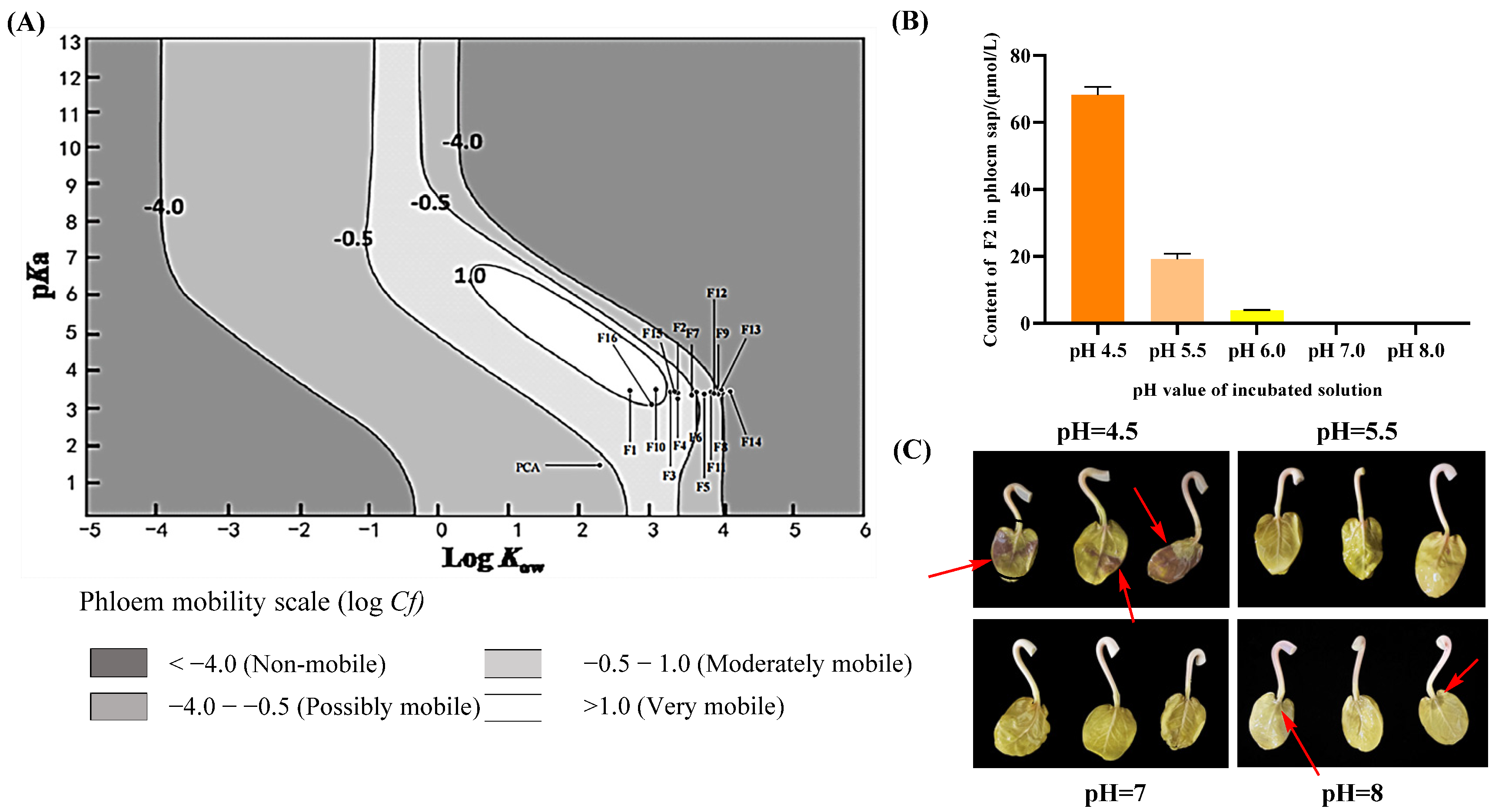 Molecules 29 01780 g004