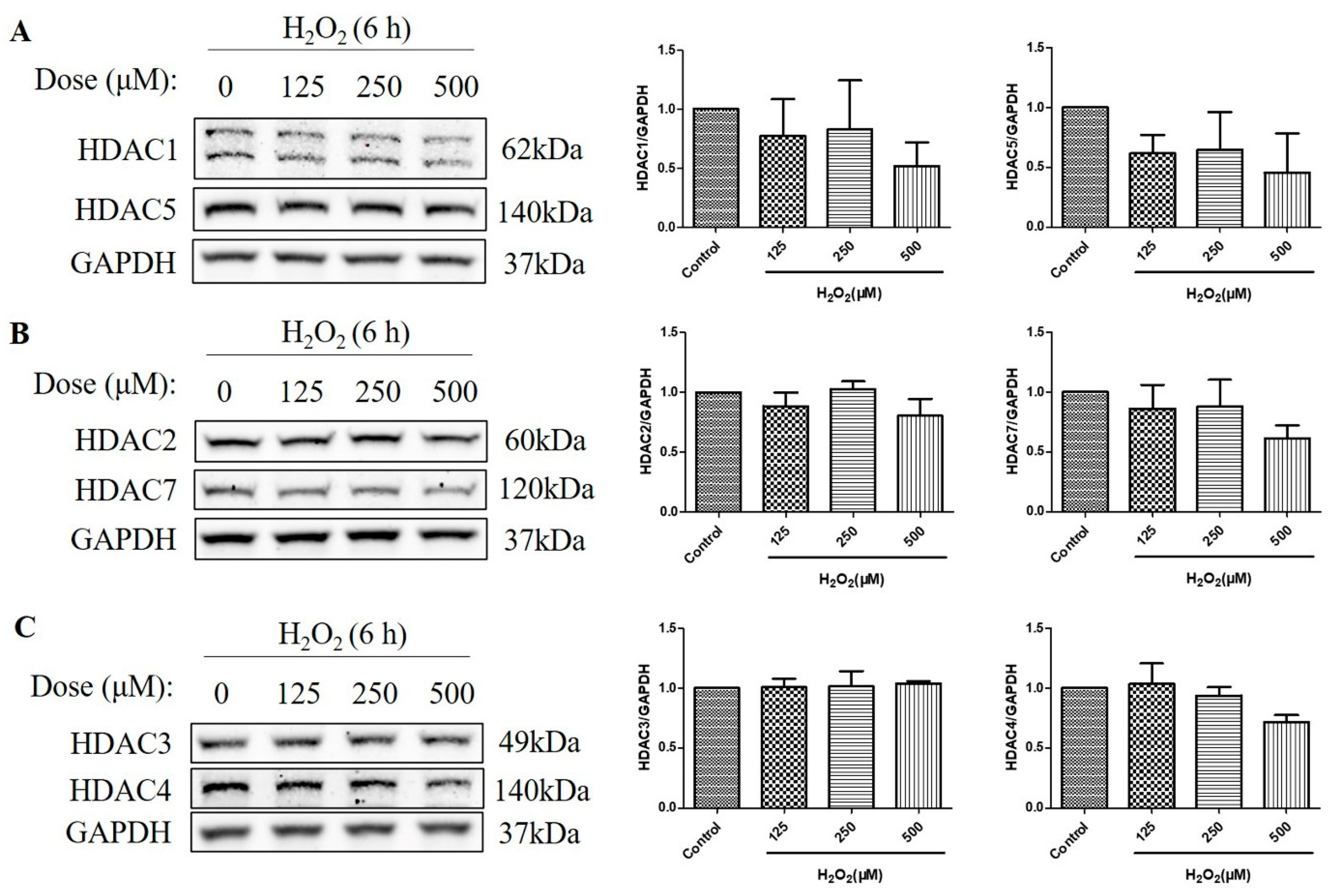 Molecules 29 01789 g003