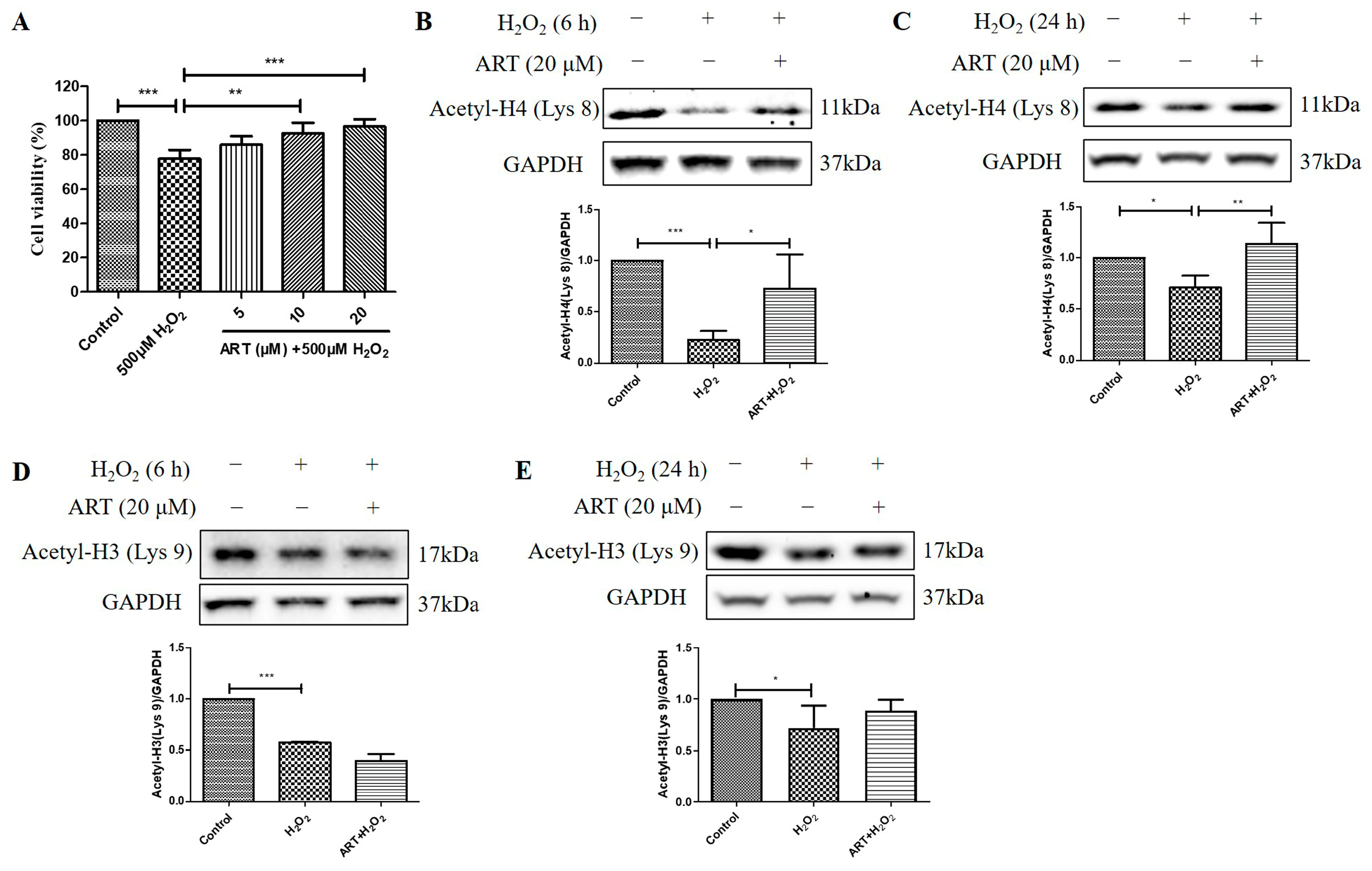 Molecules 29 01789 g004