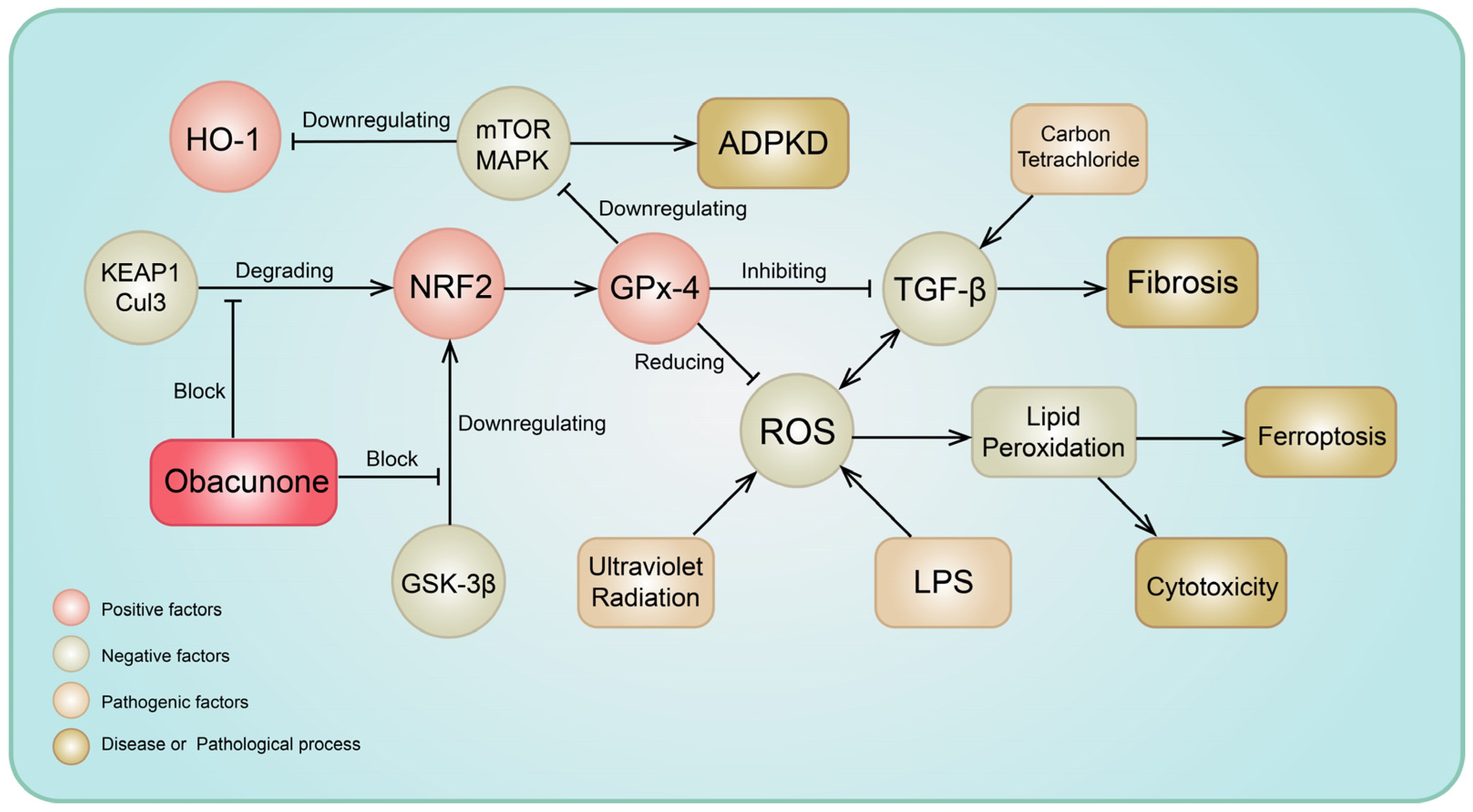 Molecules 29 01791 g002