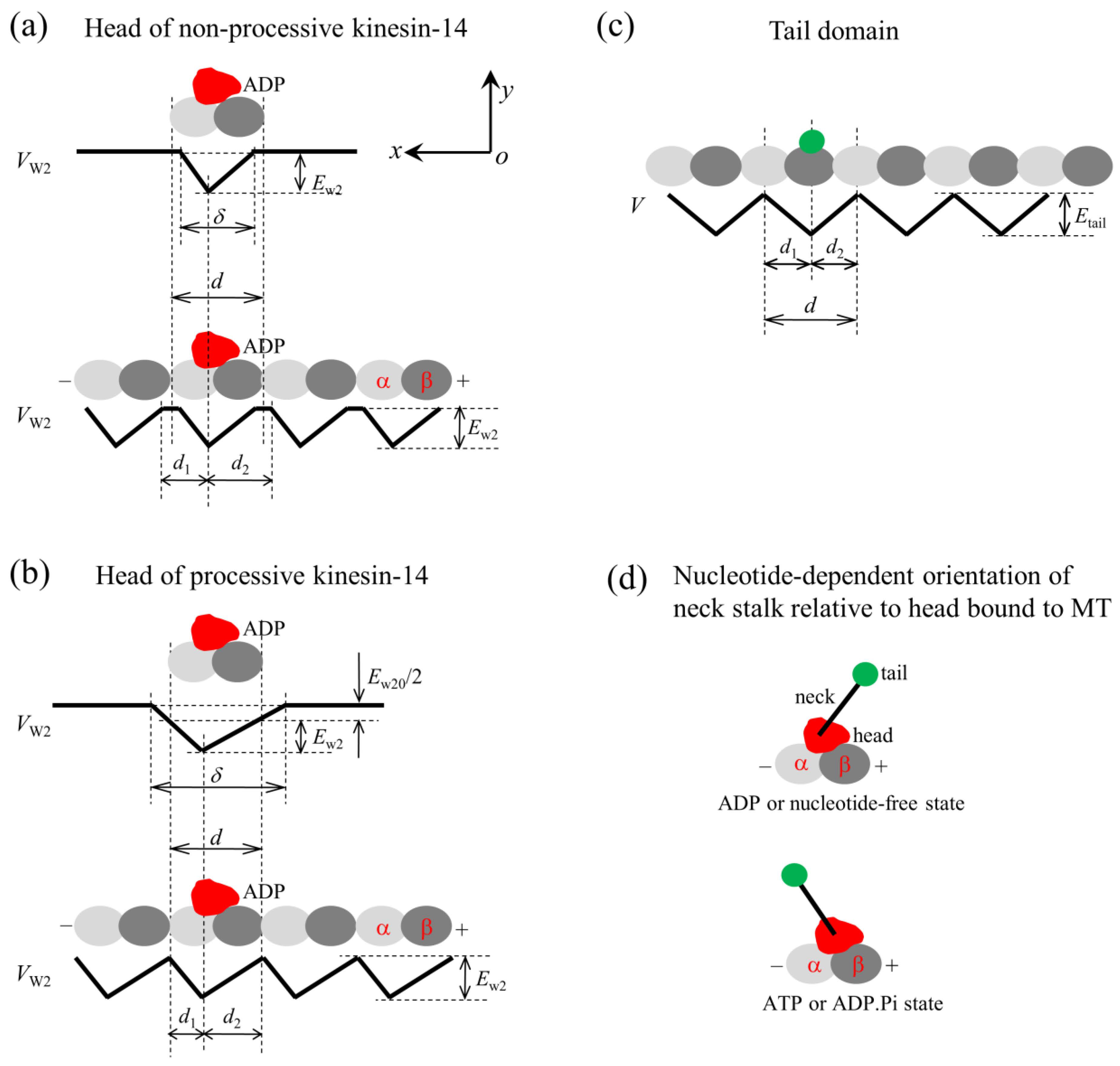 Molecules 29 01792 g001