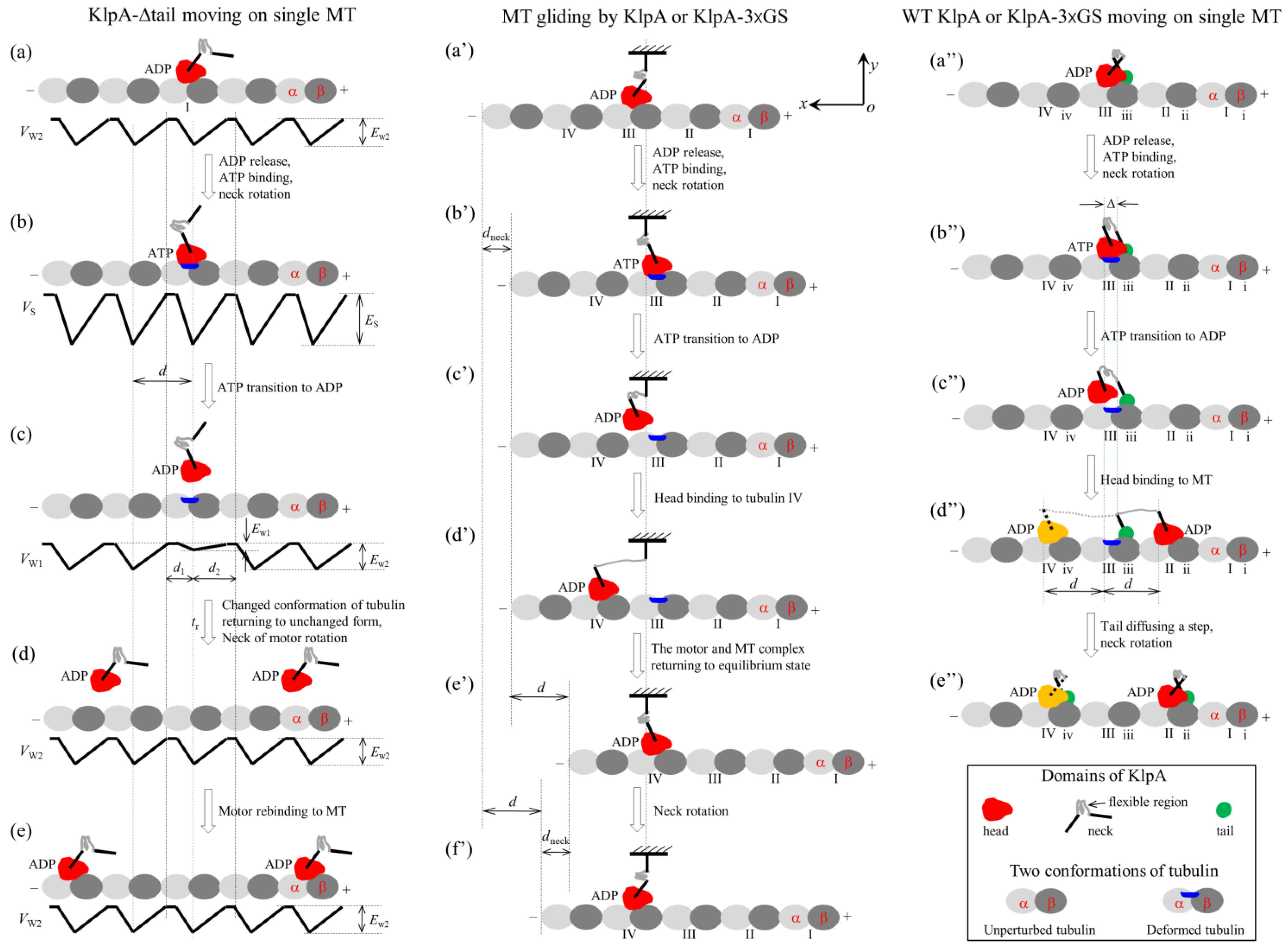 Molecules 29 01792 g002
