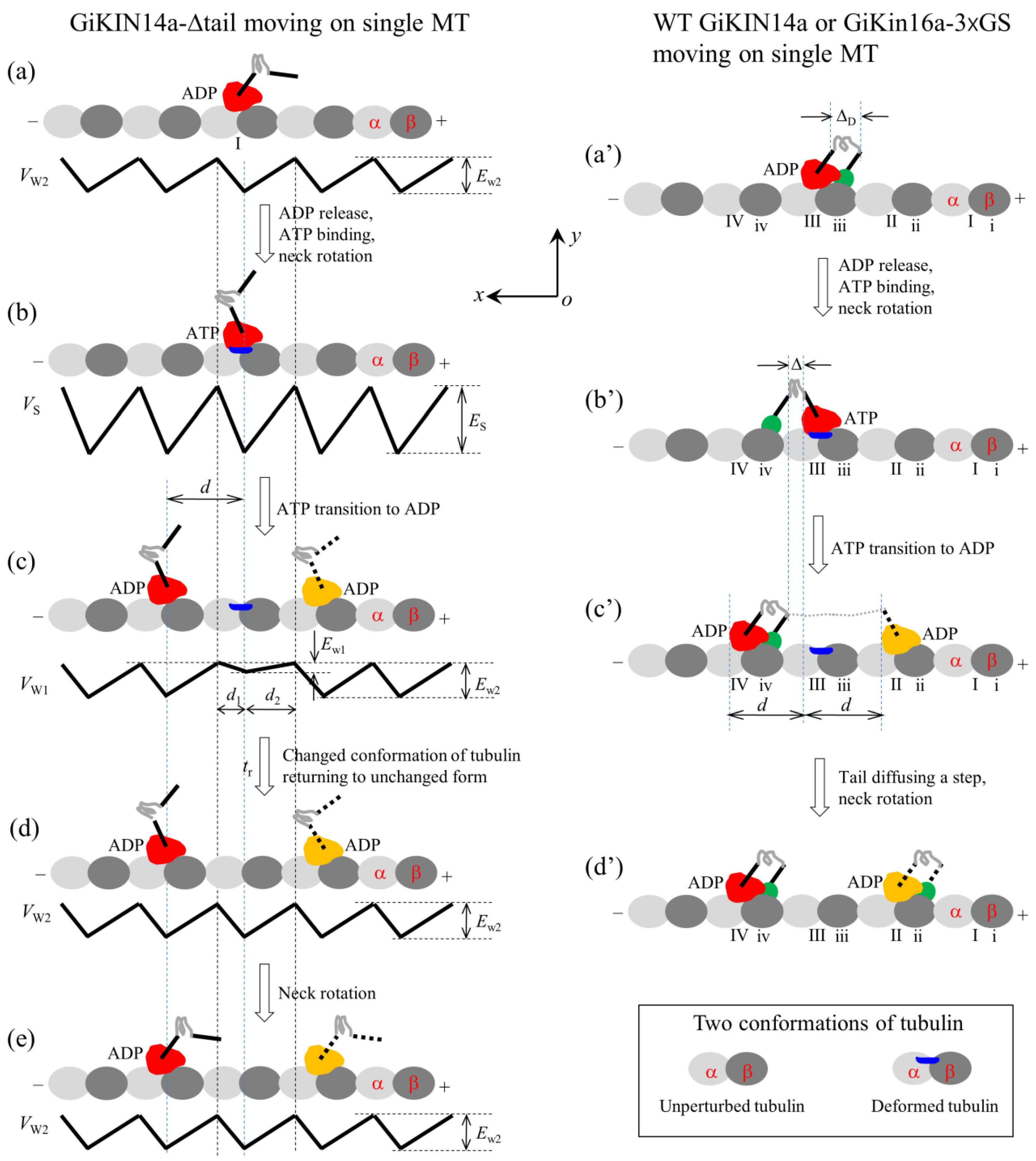 Molecules 29 01792 g006