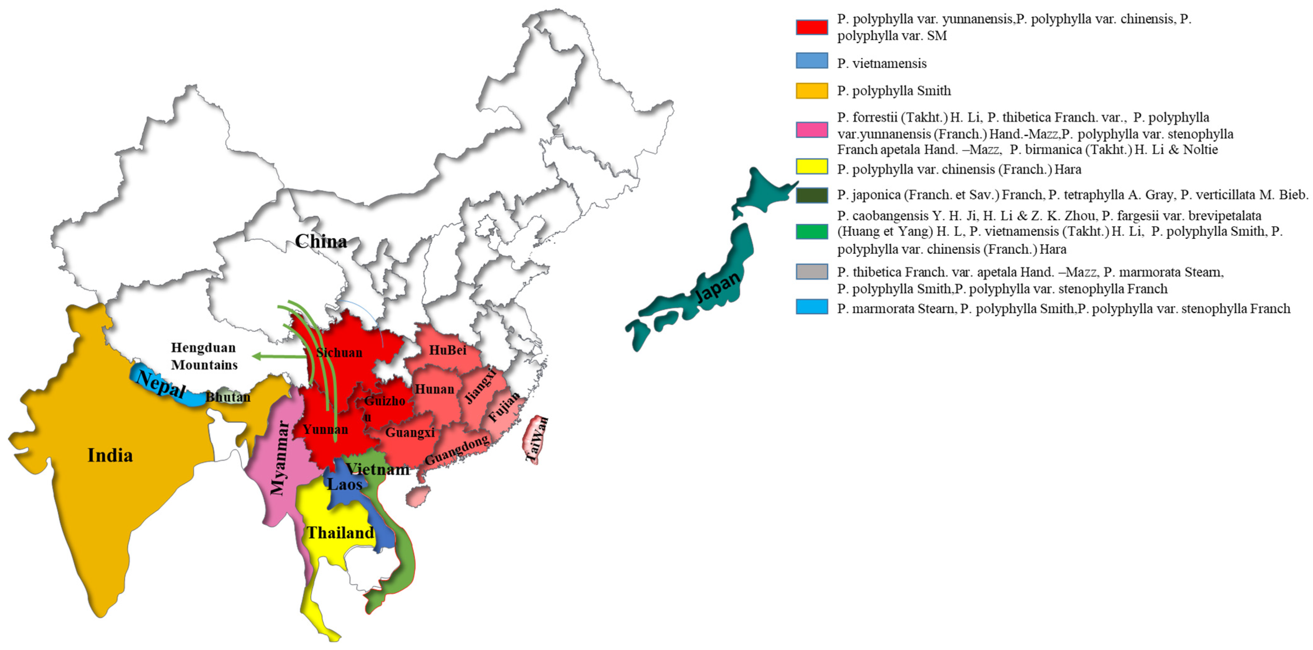 Molecules 29 01793 g001 Molecules 29 01793 g001