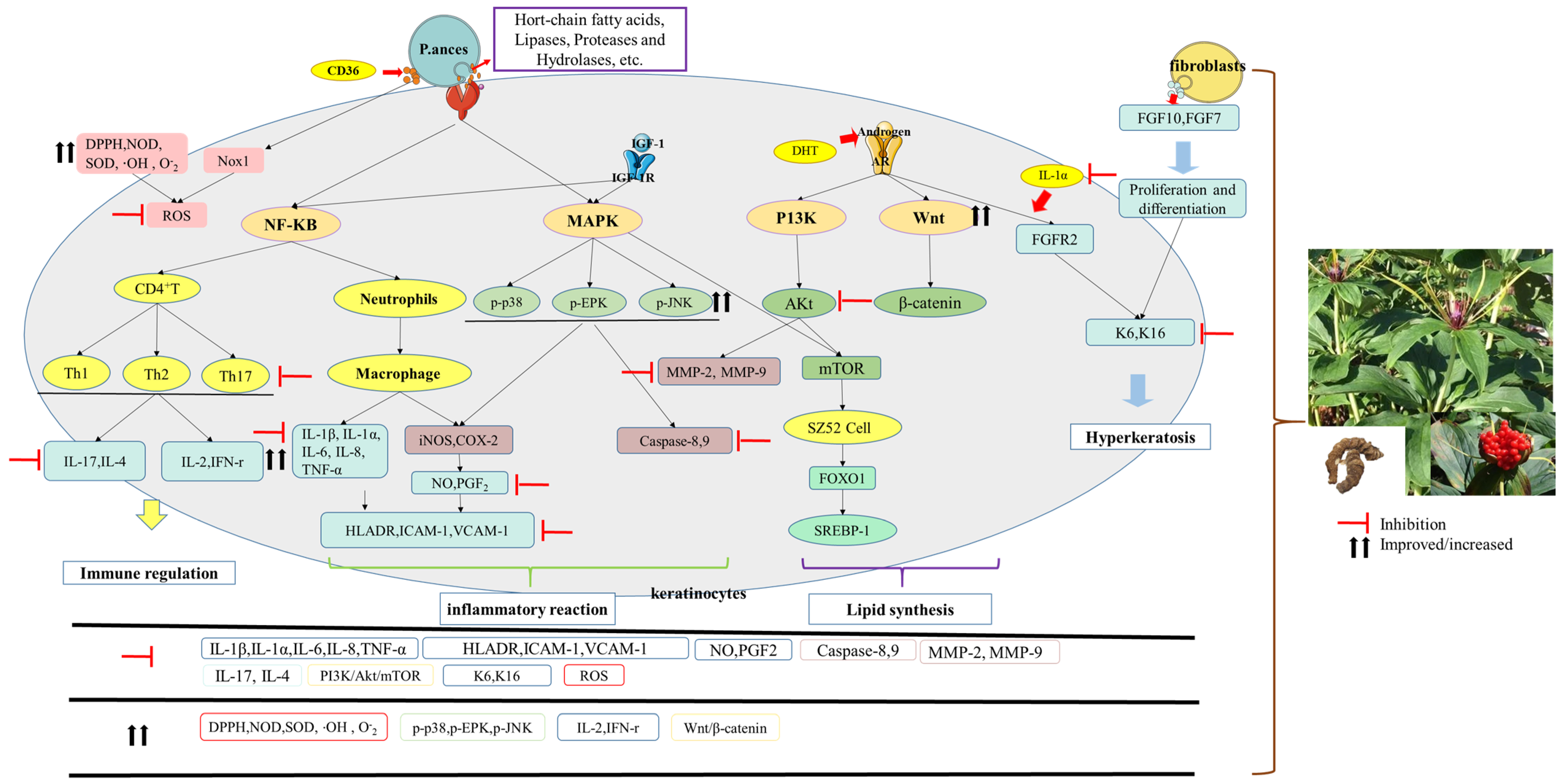 Molecules 29 01793 g003 Molecules 29 01793 g003