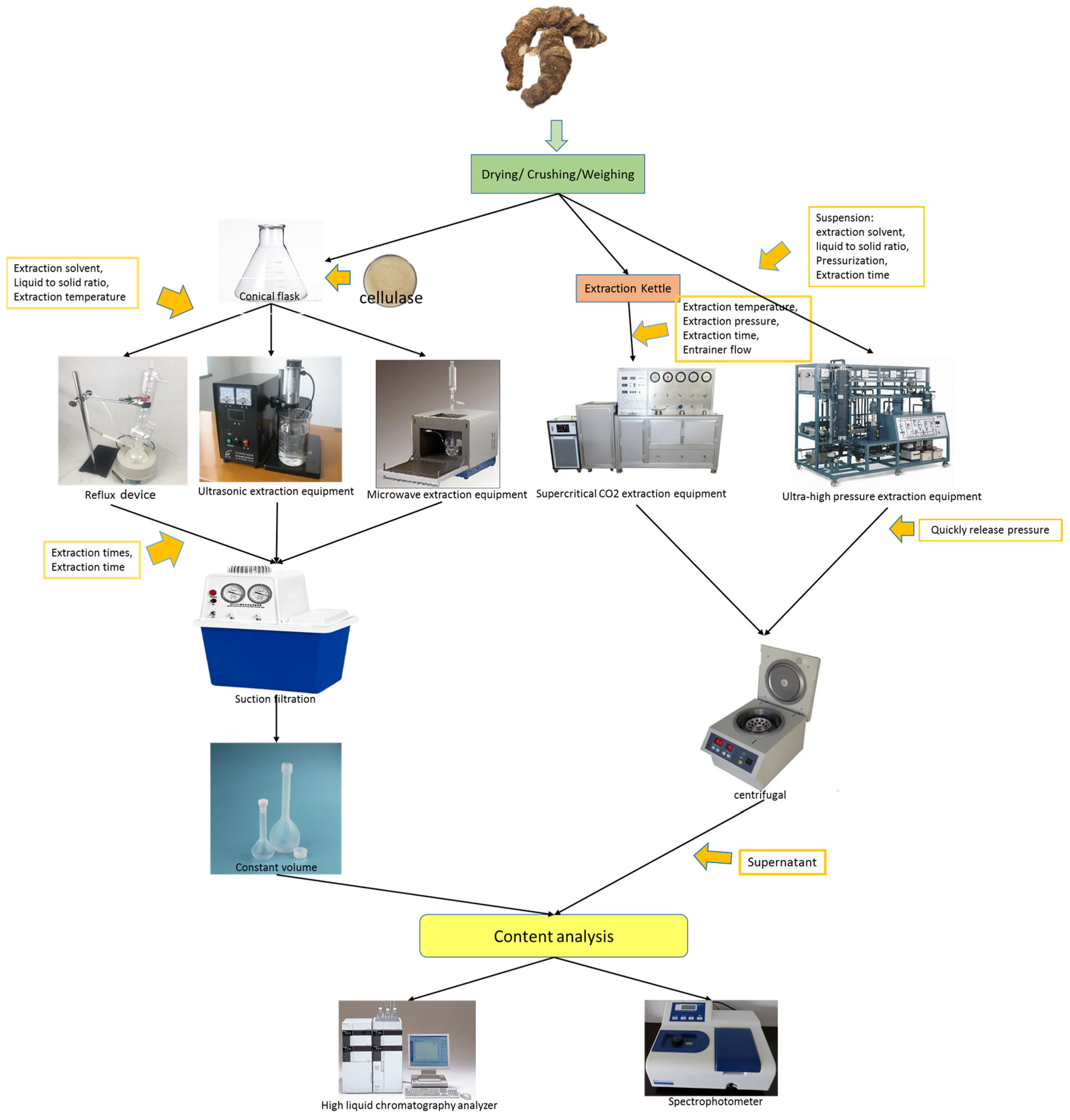 Molecules 29 01793 g005 Molecules 29 01793 g005