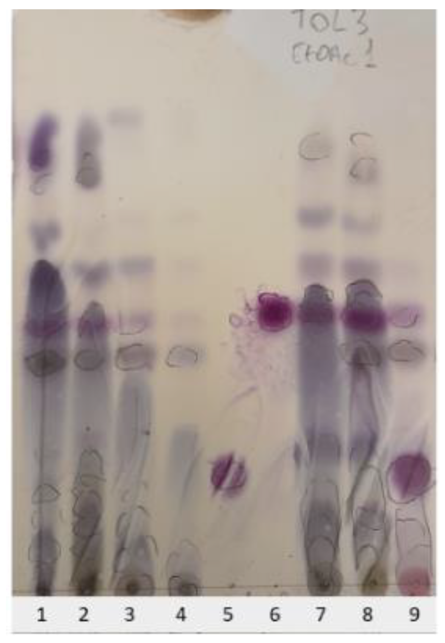 Molecules 29 01794 g002 Molecules 29 01794 g002