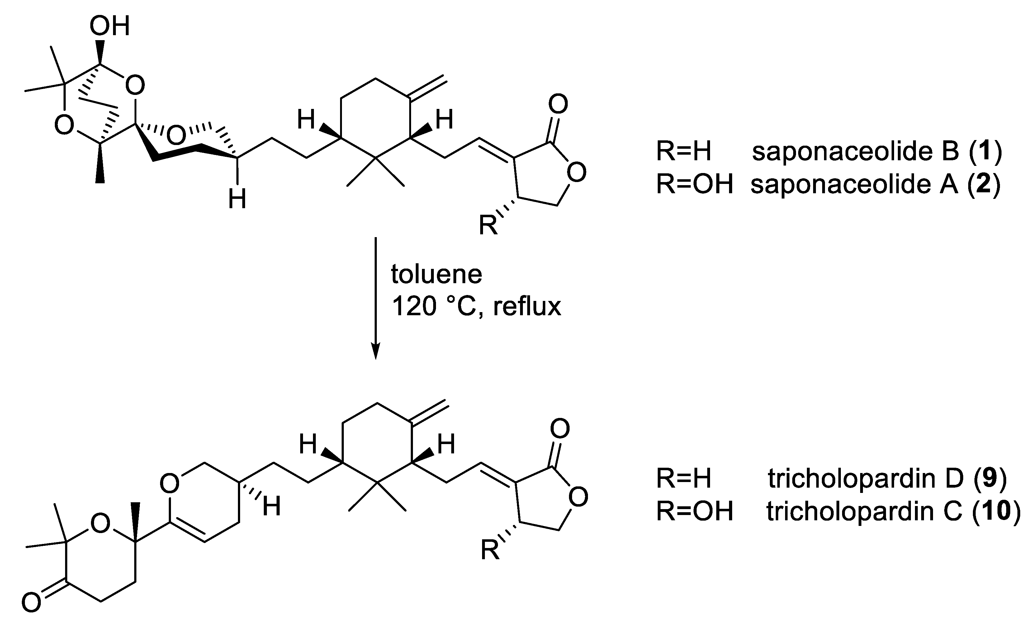 Molecules 29 01794 g005 Molecules 29 01794 g005