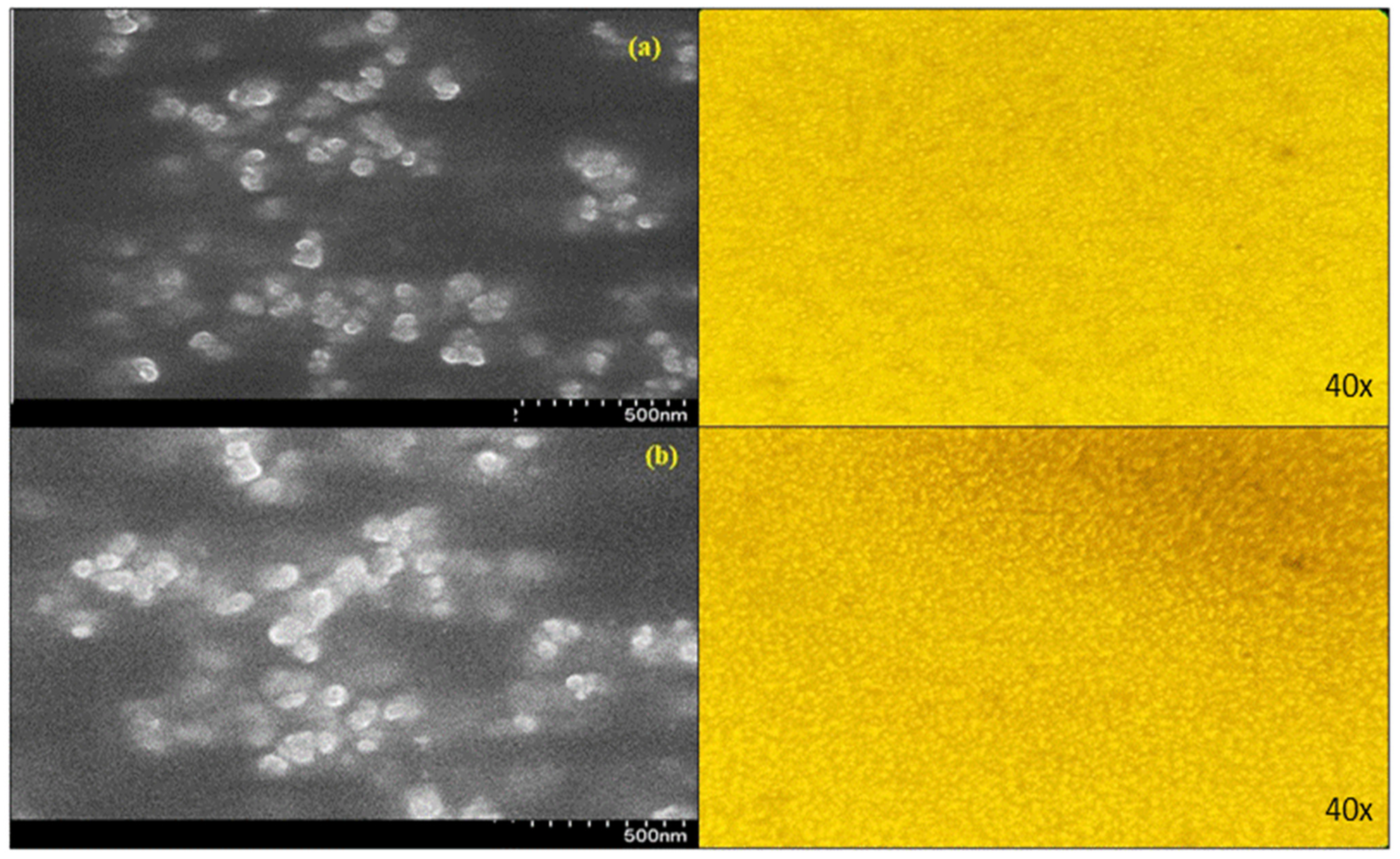 Molecules 29 01797 g008