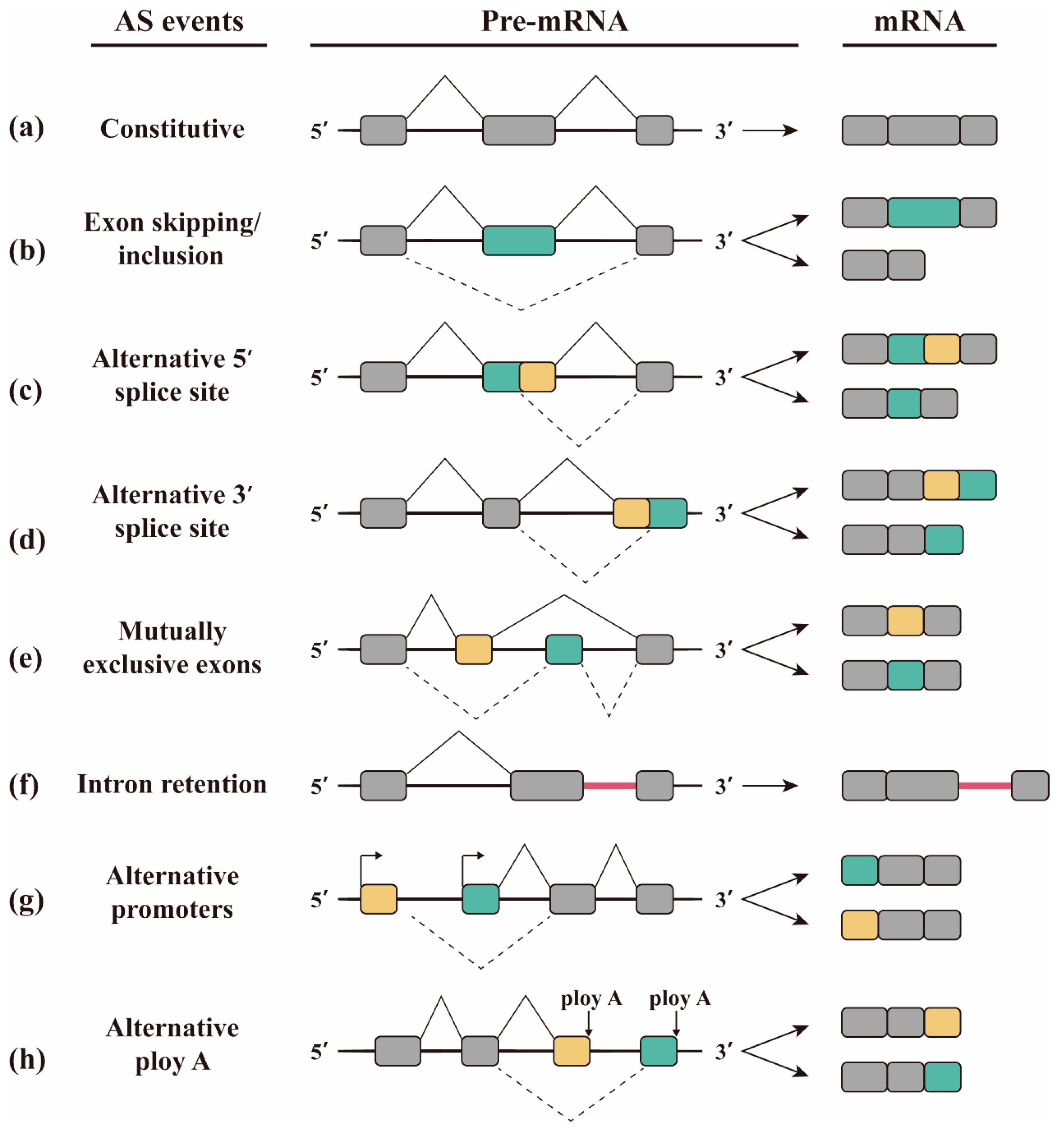 Molecules 29 01798 g002