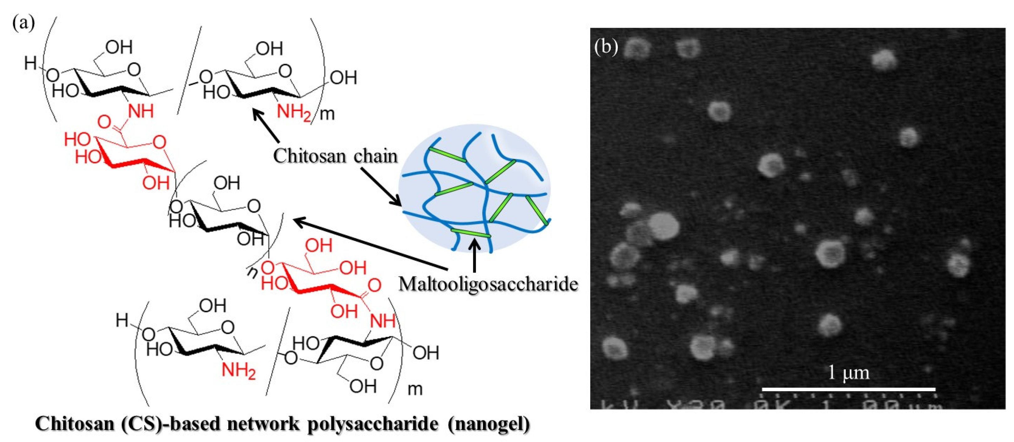 Molecules 29 01804 g001