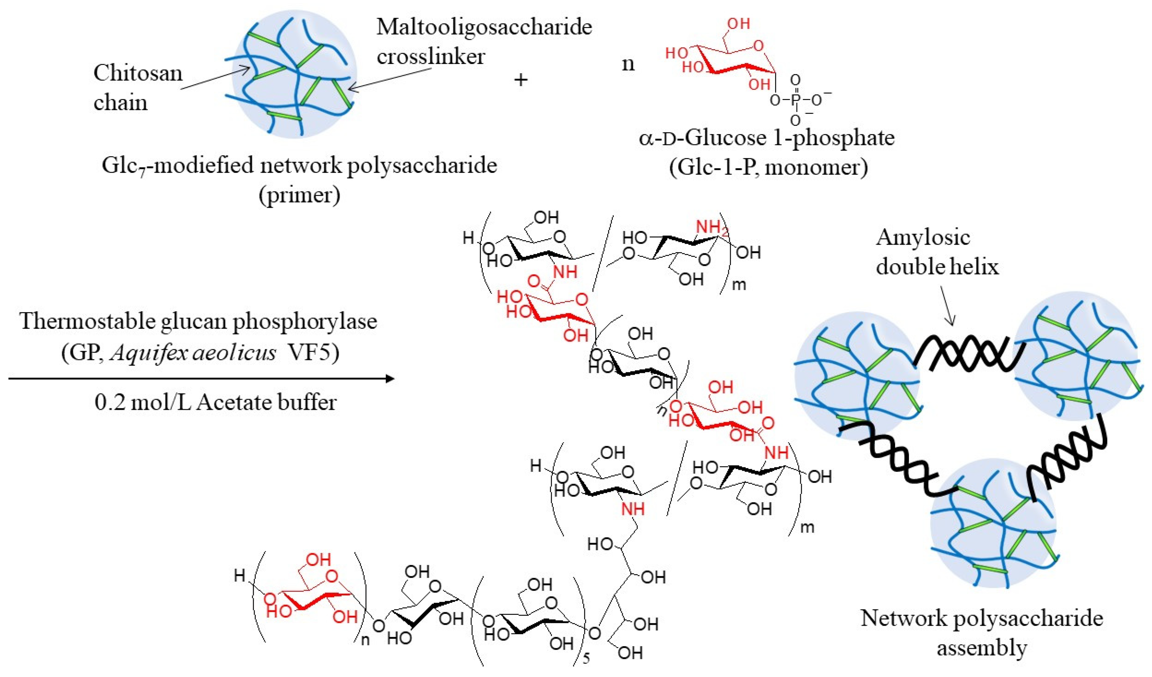 Molecules 29 01804 g004