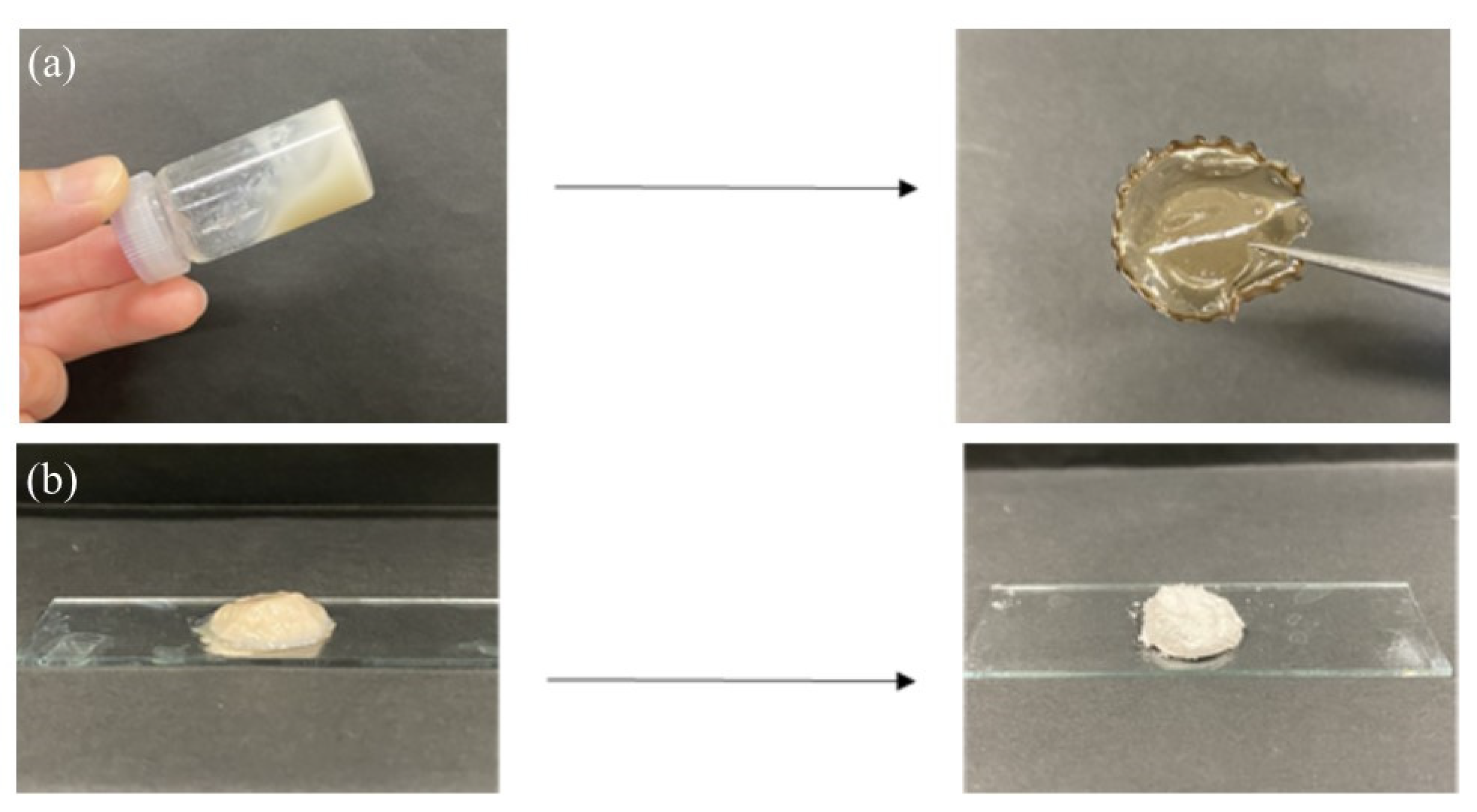 Molecules 29 01804 g007