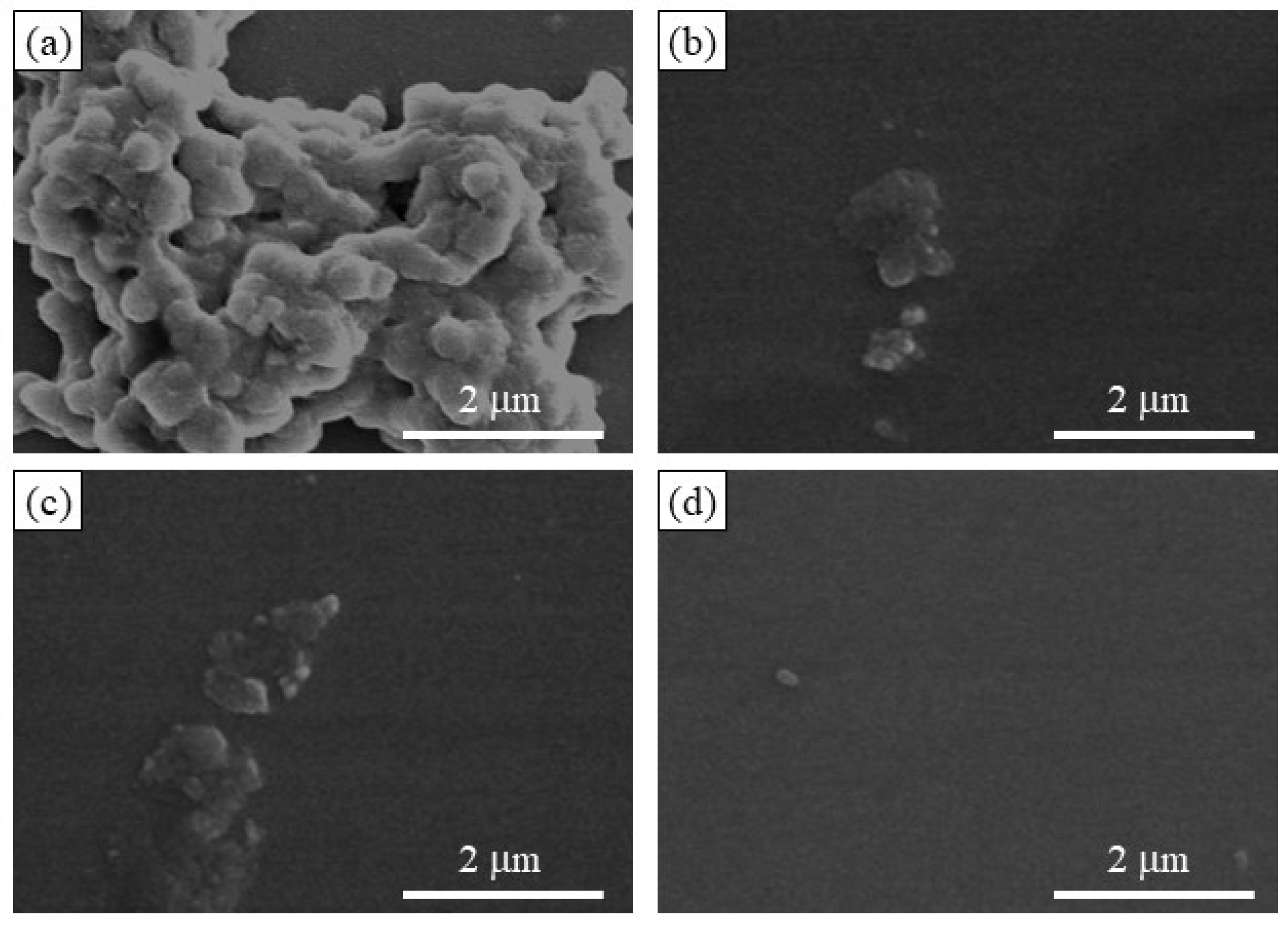 Molecules 29 01804 g008