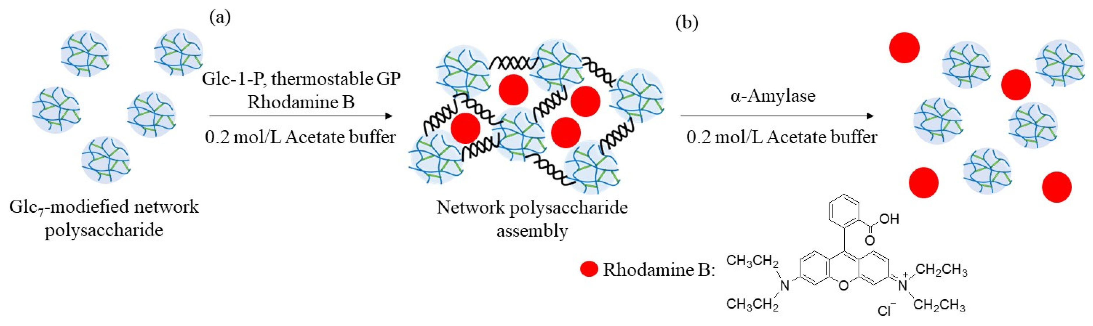 Molecules 29 01804 g010