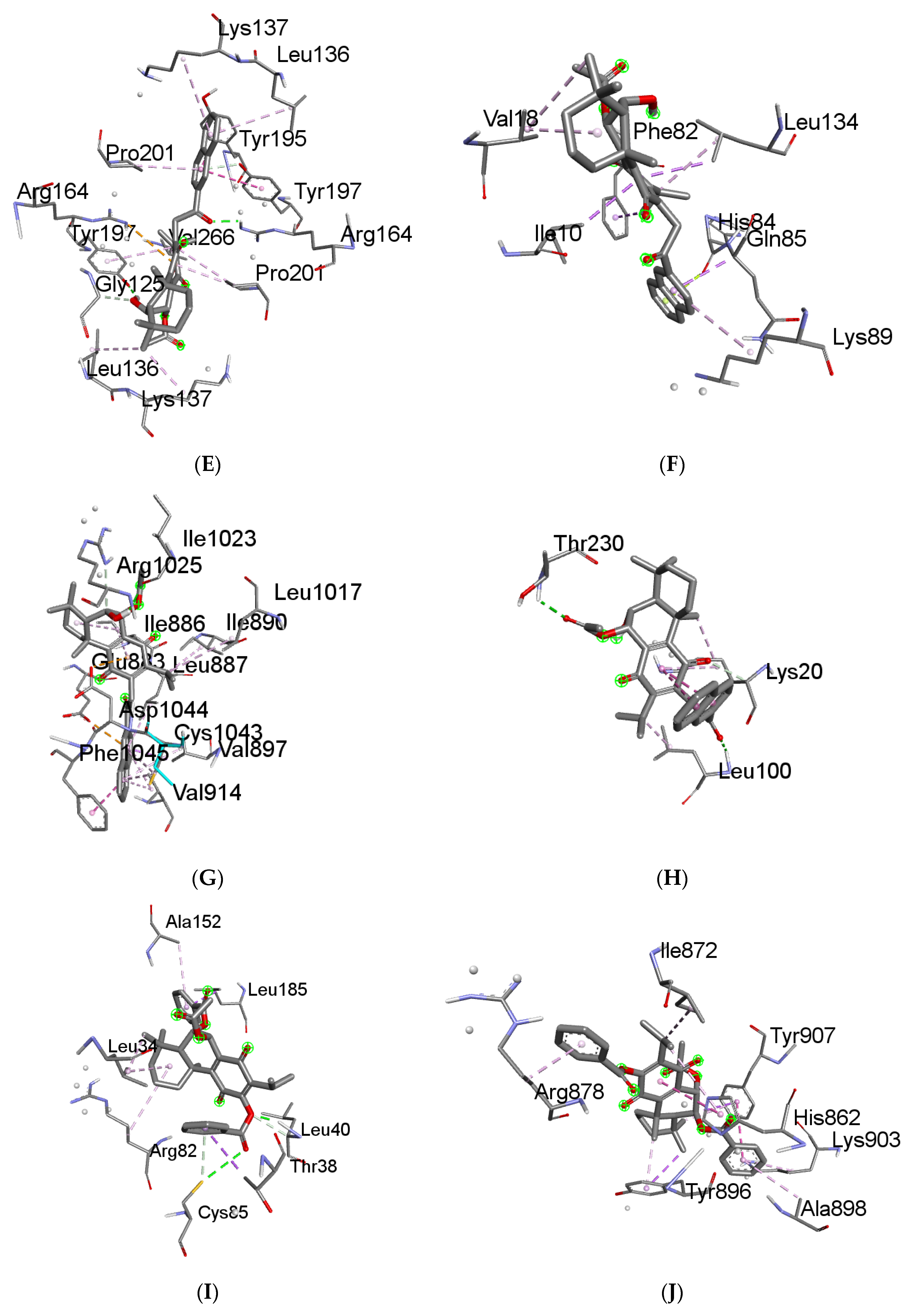 Molecules 29 01807 g004b