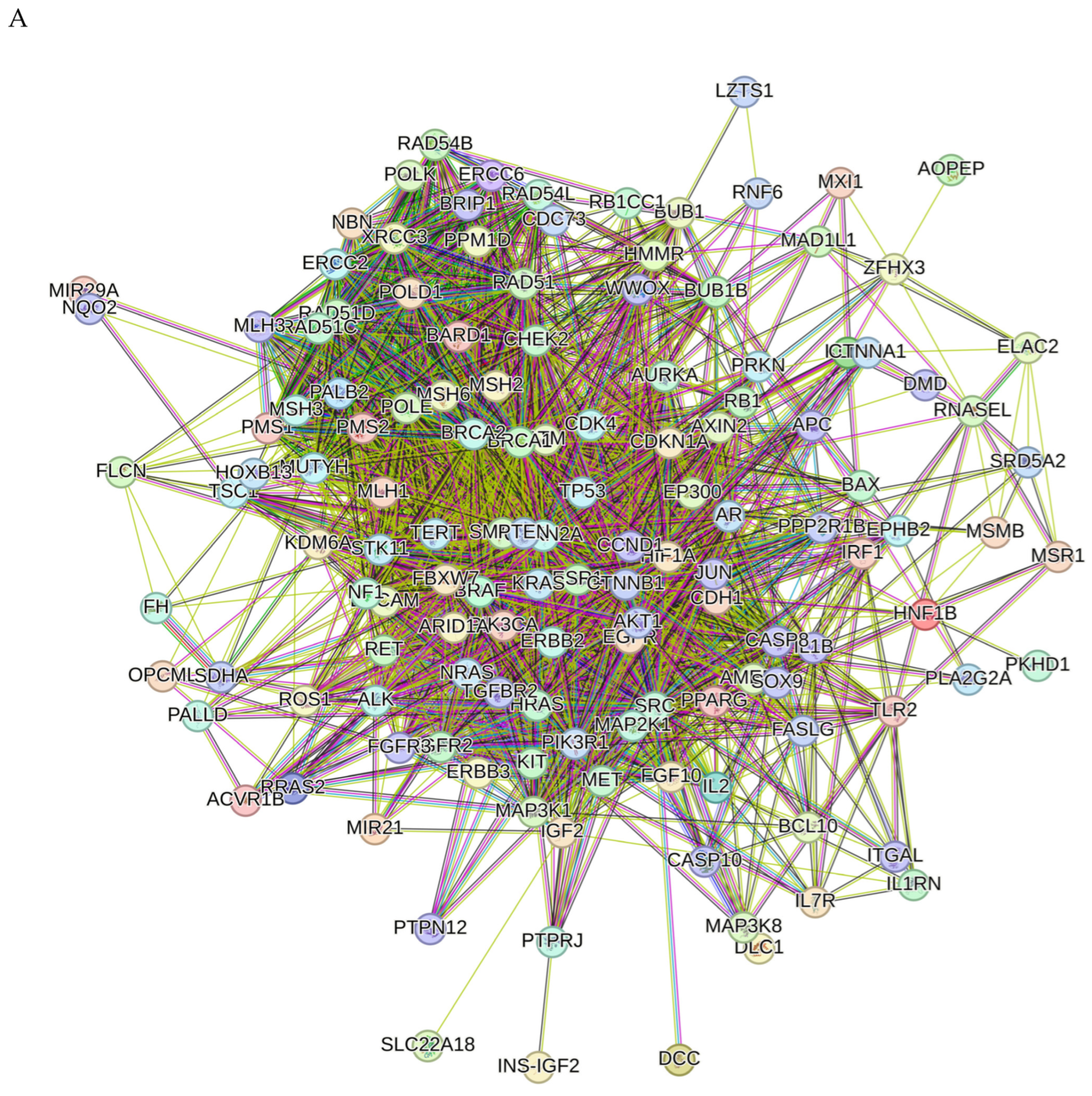 Molecules 29 01807 g007a