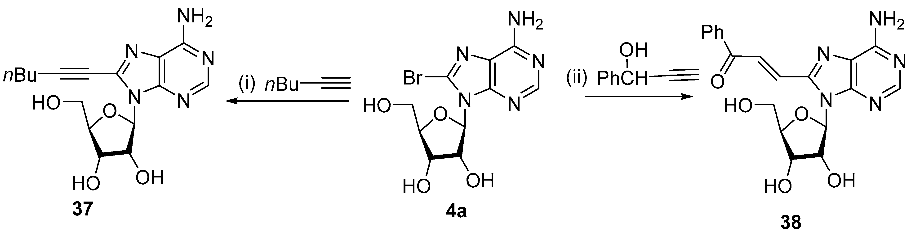 Molecules 29 01815 sch010