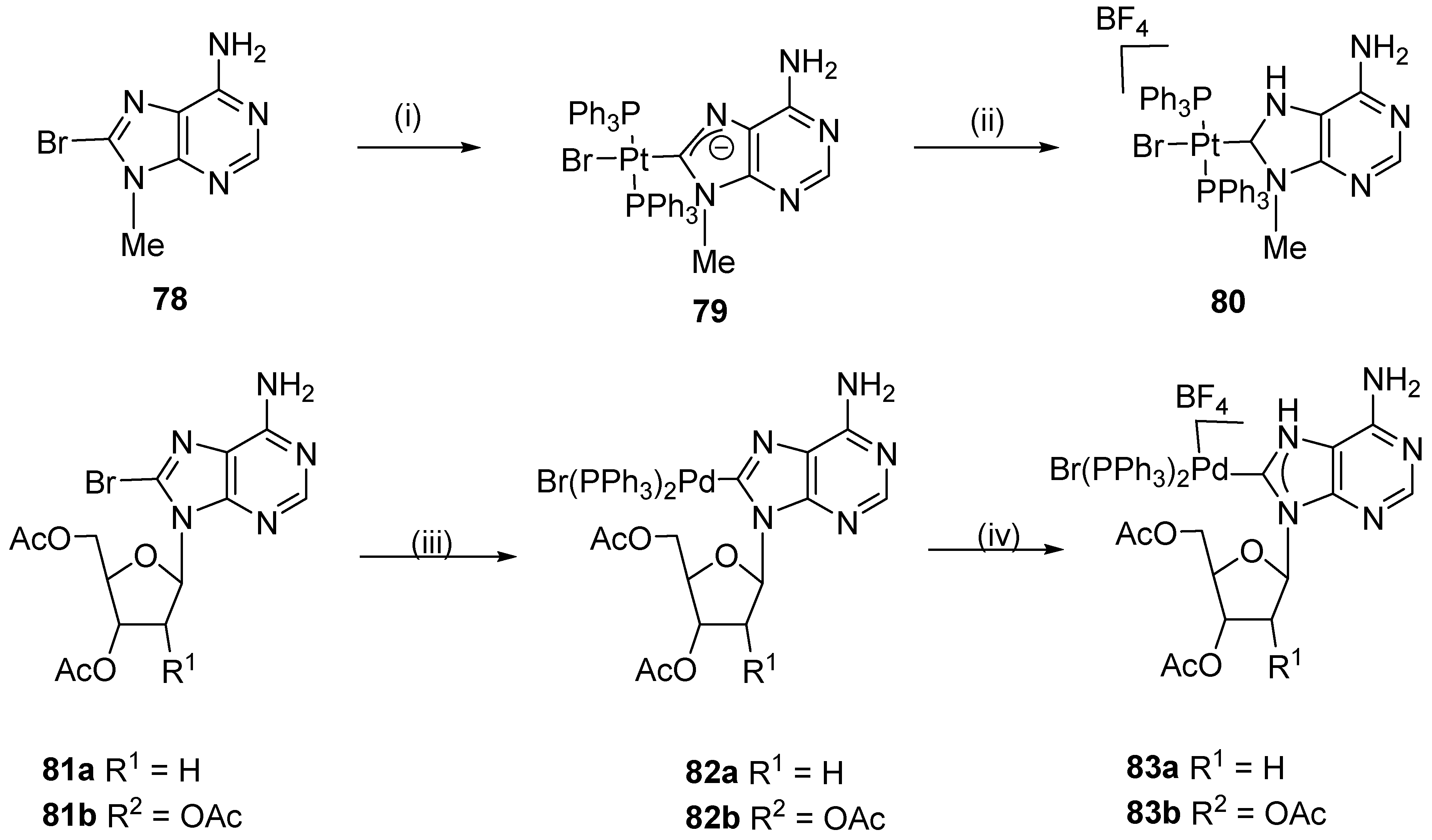 Molecules 29 01815 sch023