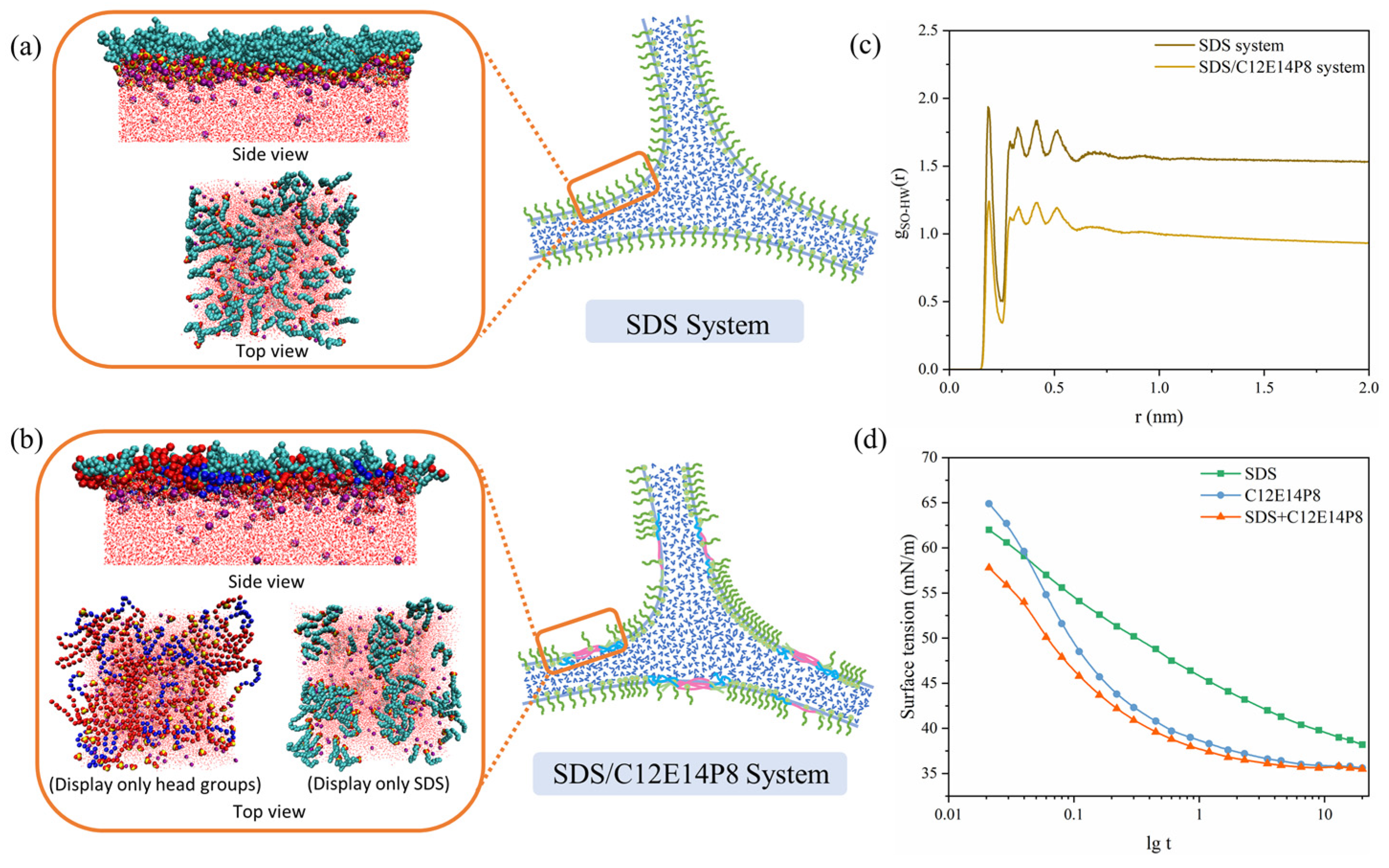 Molecules 29 01816 g010