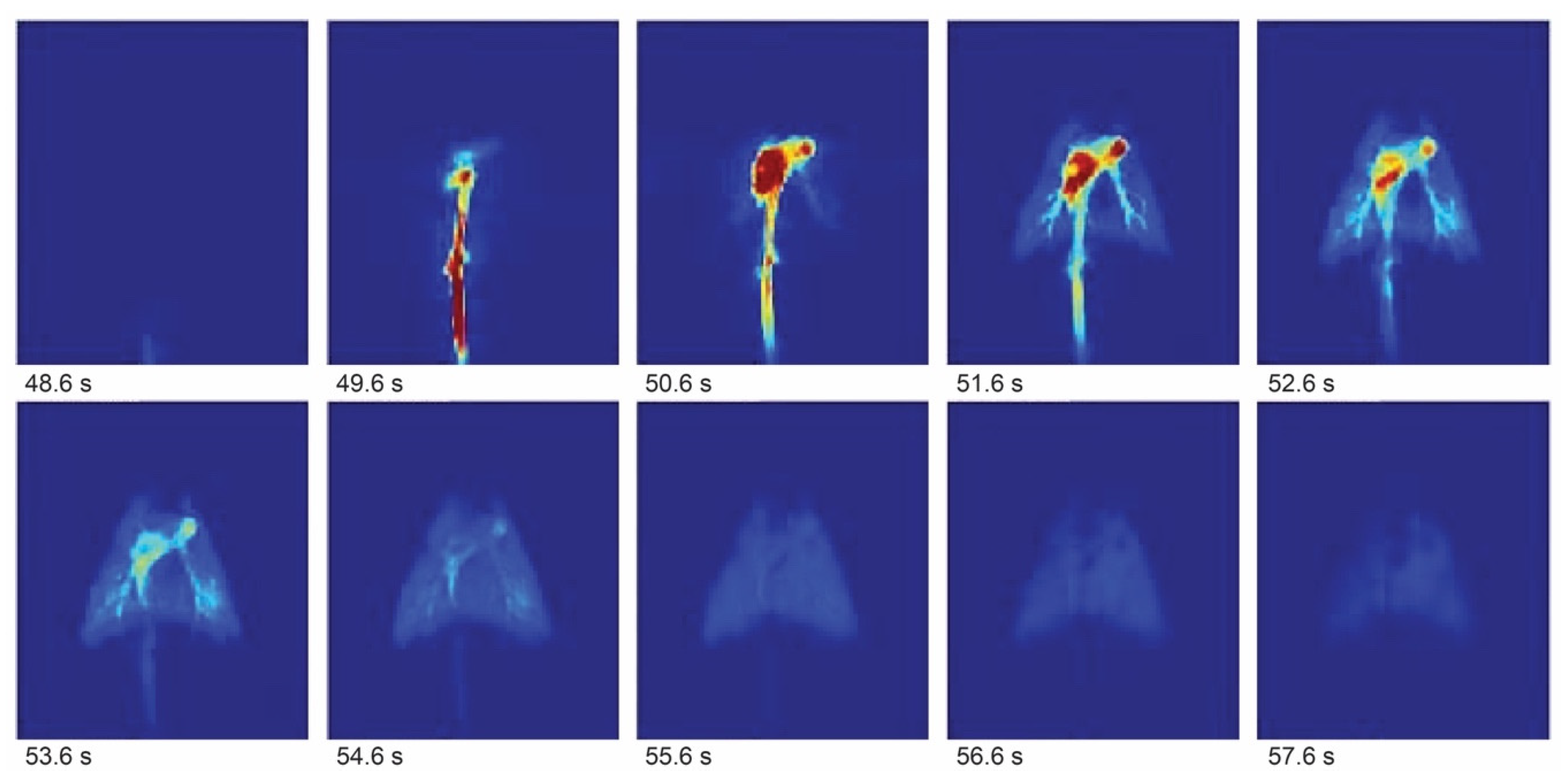 Molecules 29 01821 g002 Molecules 29 01821 g002