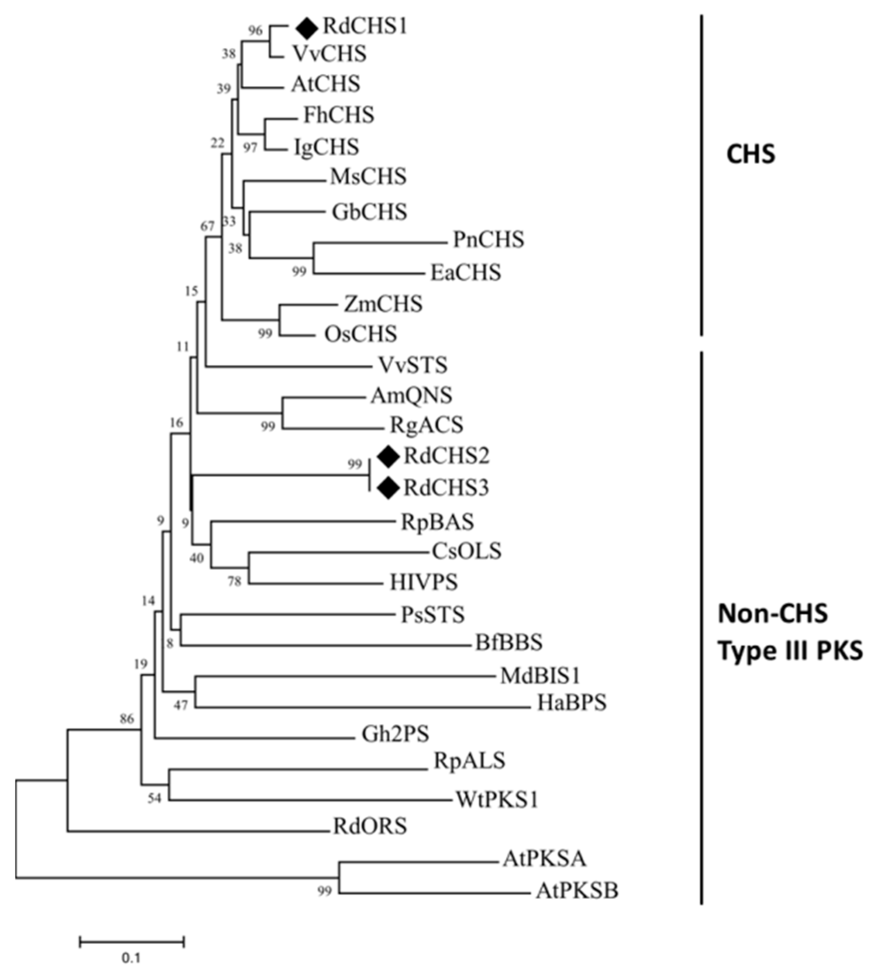Molecules 29 01822 g002 Molecules 29 01822 g002