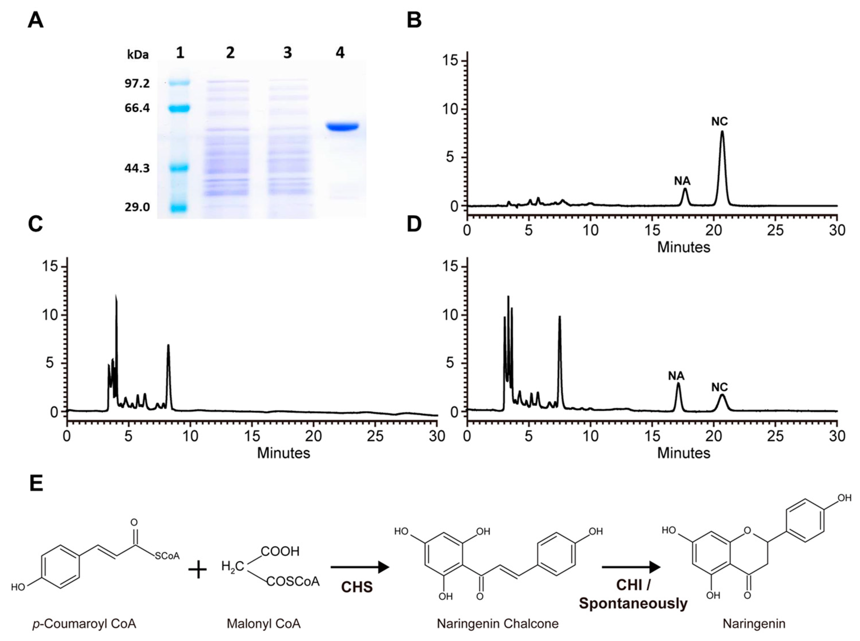 Molecules 29 01822 g004 Molecules 29 01822 g004