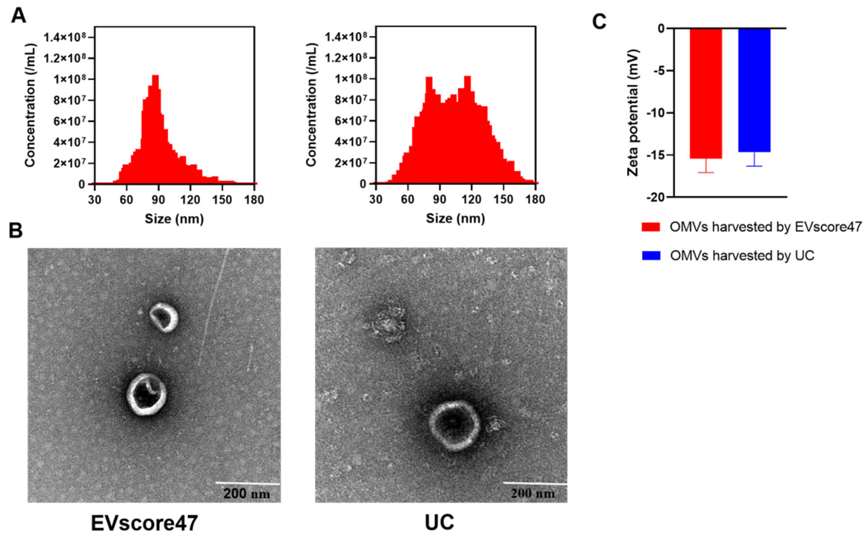 Molecules 29 01831 g007