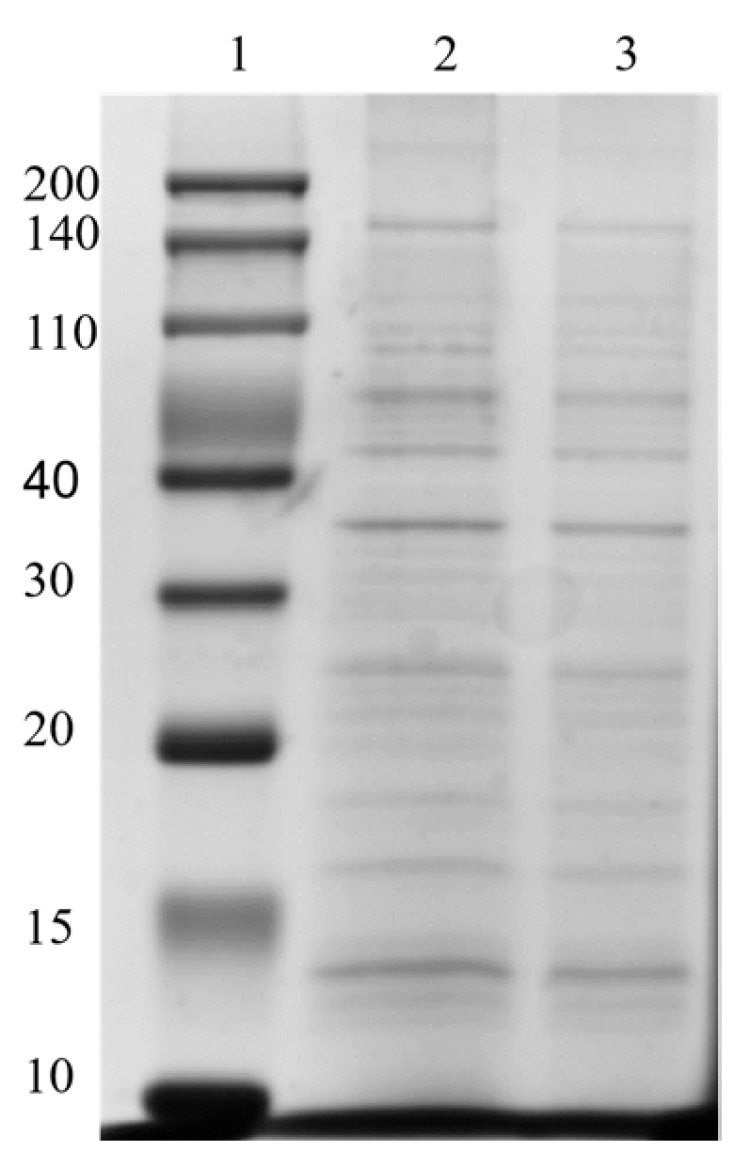 Molecules 29 01831 g009