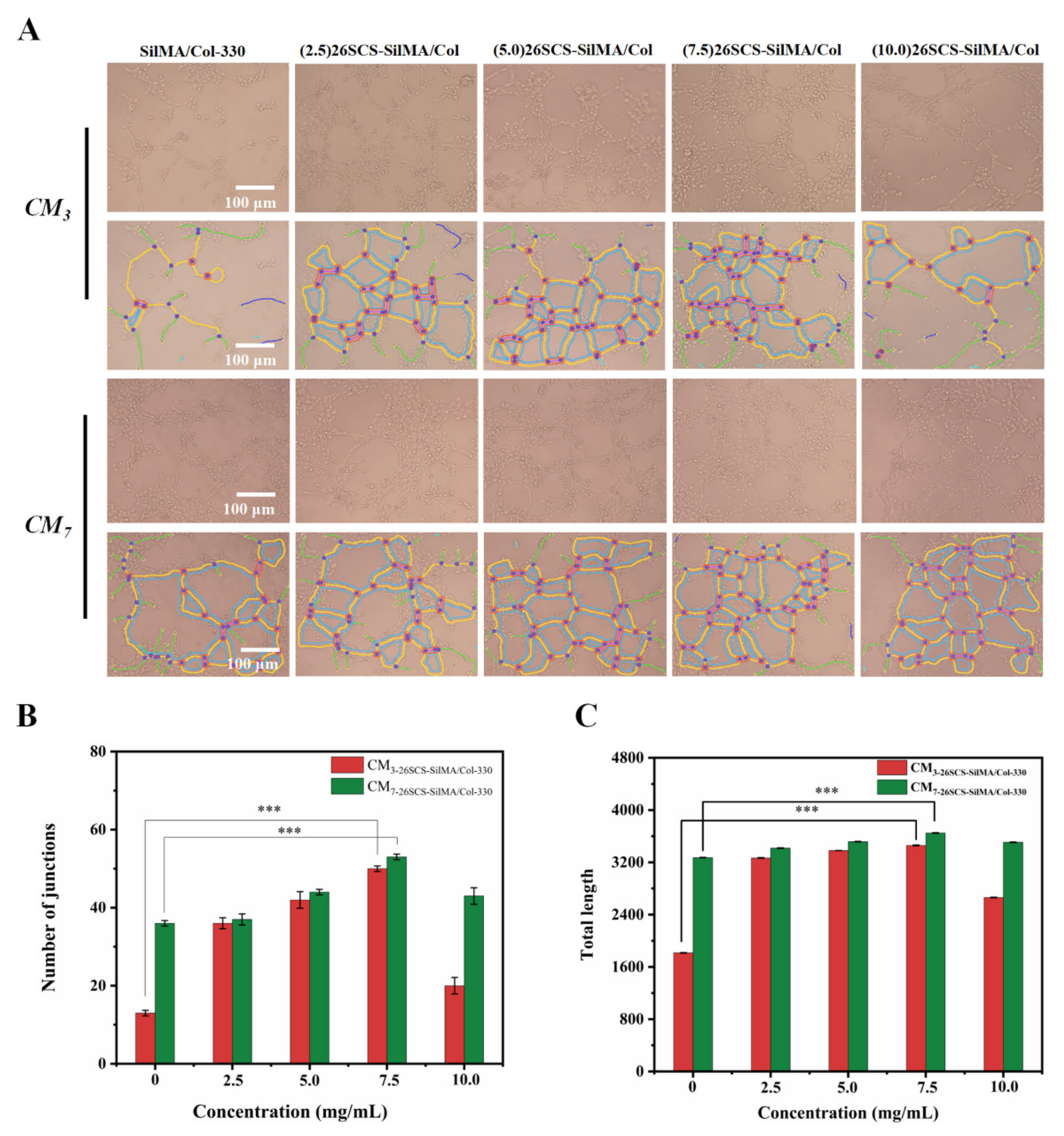 Molecules 29 01832 g008