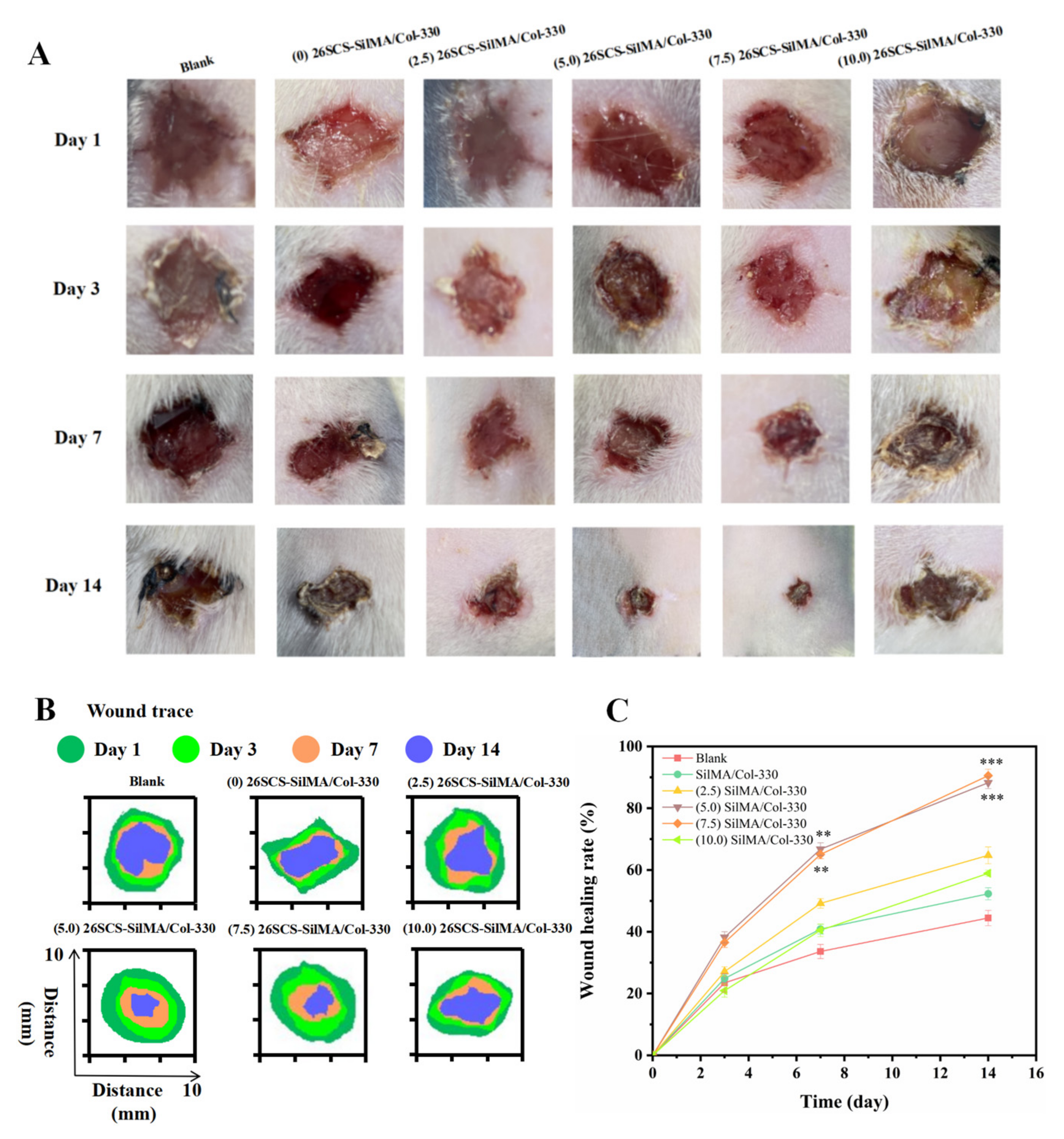 Molecules 29 01832 g009