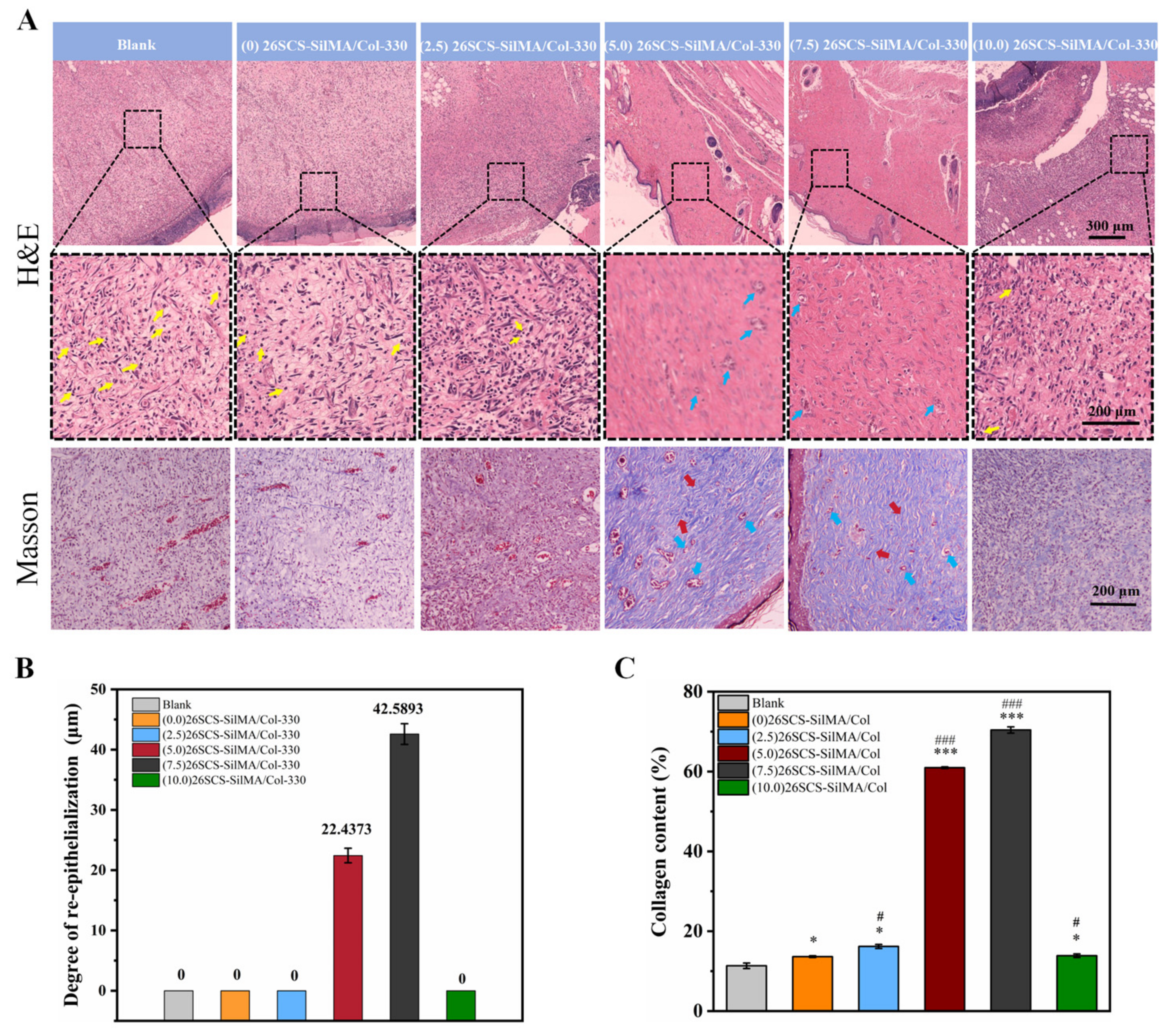 Molecules 29 01832 g010