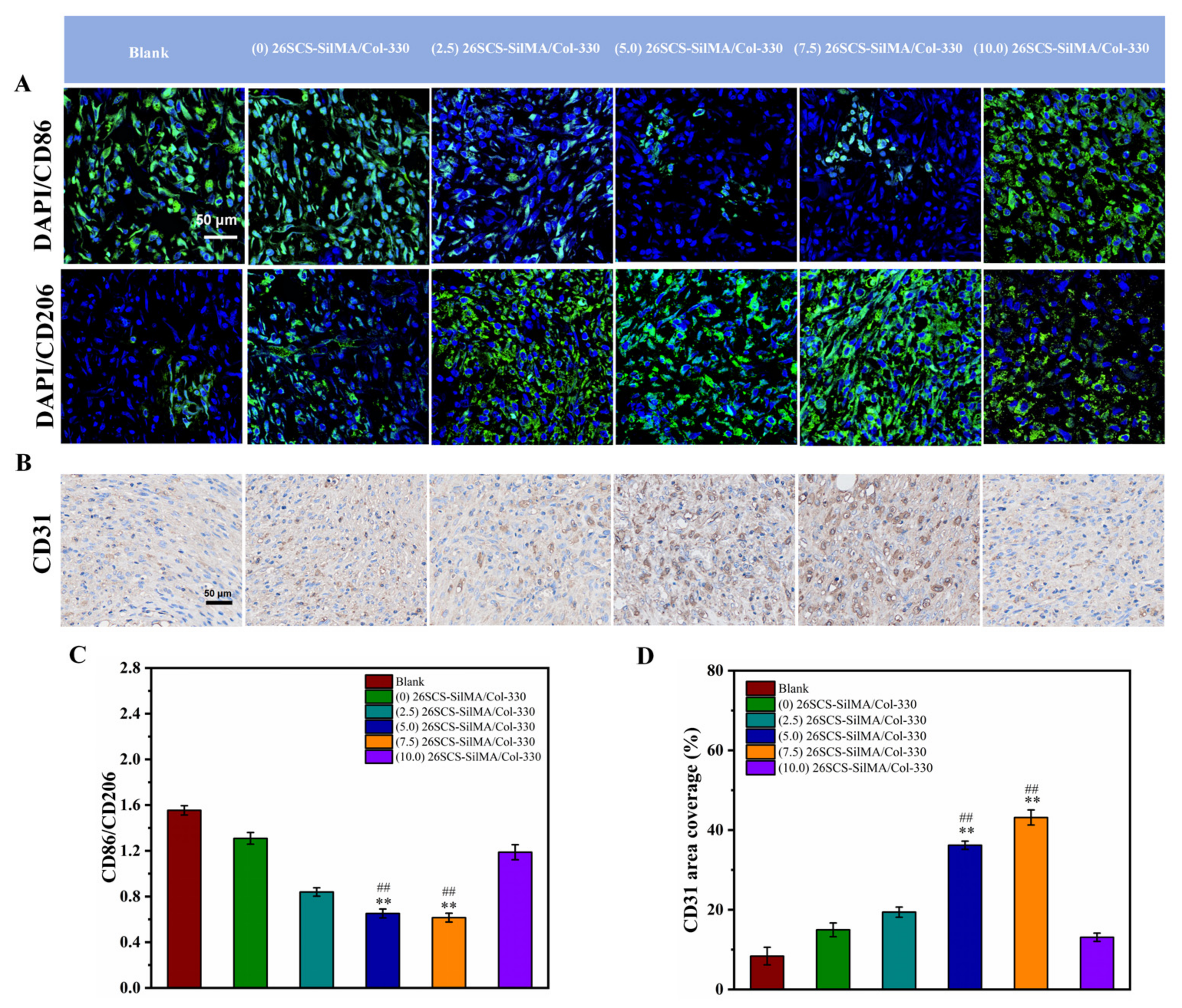 Molecules 29 01832 g011