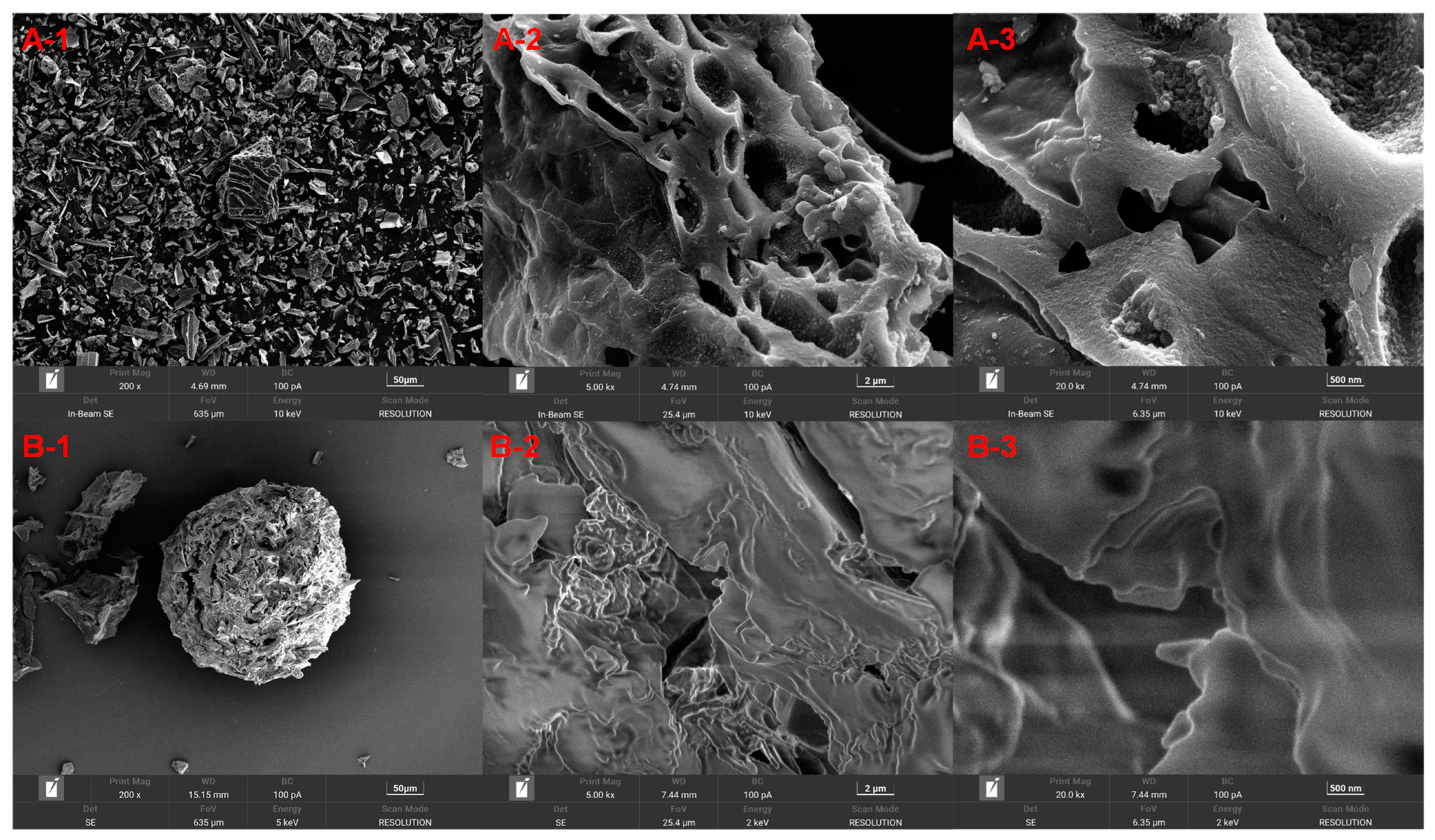 Molecules 29 01836 g001