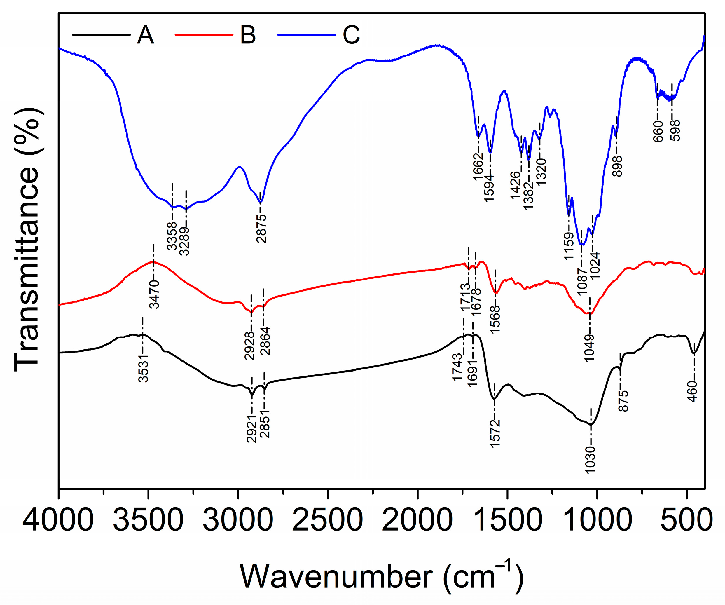 Molecules 29 01836 g002