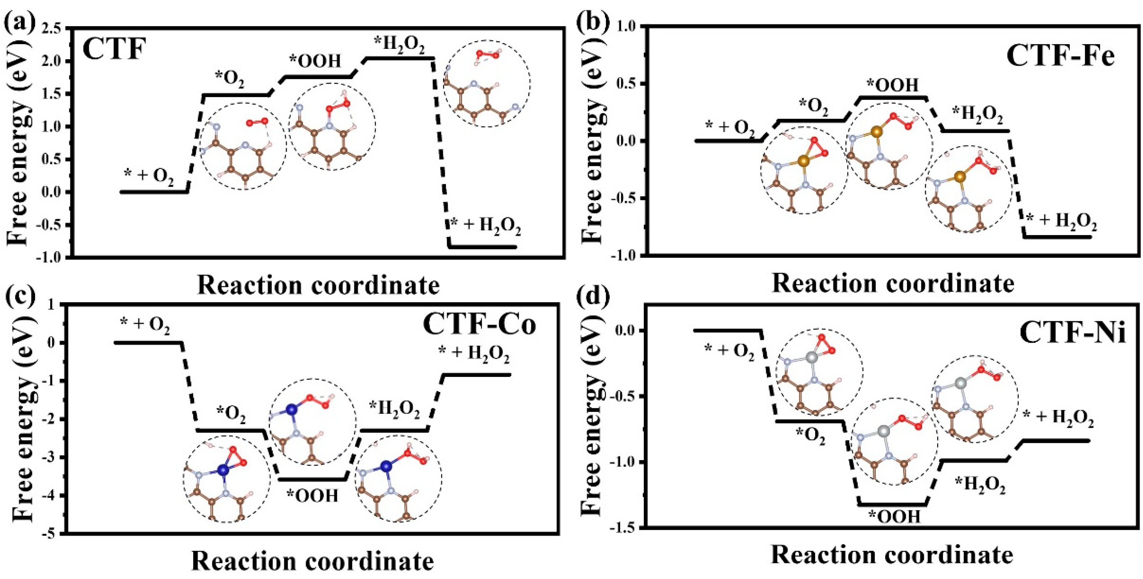 Molecules 29 01840 g006