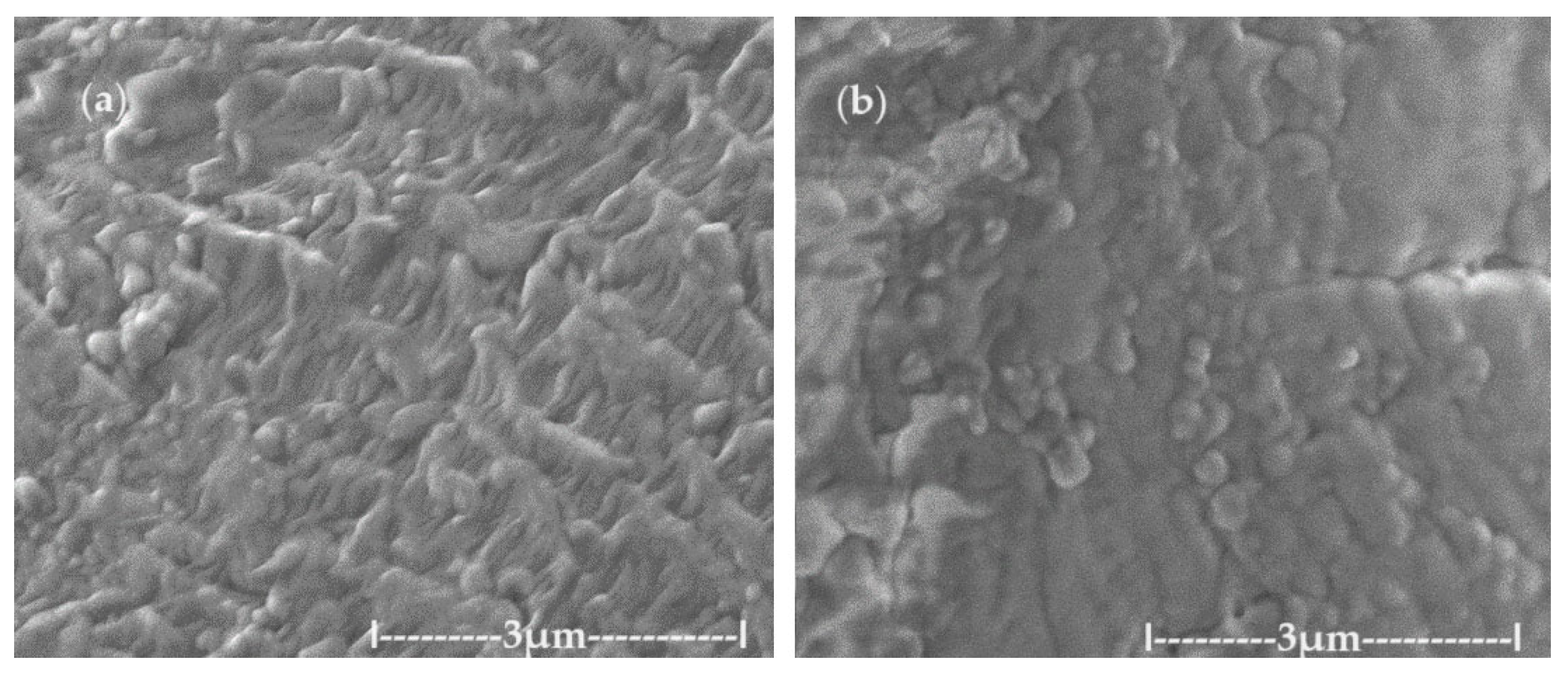 Molecules 29 01842 g003