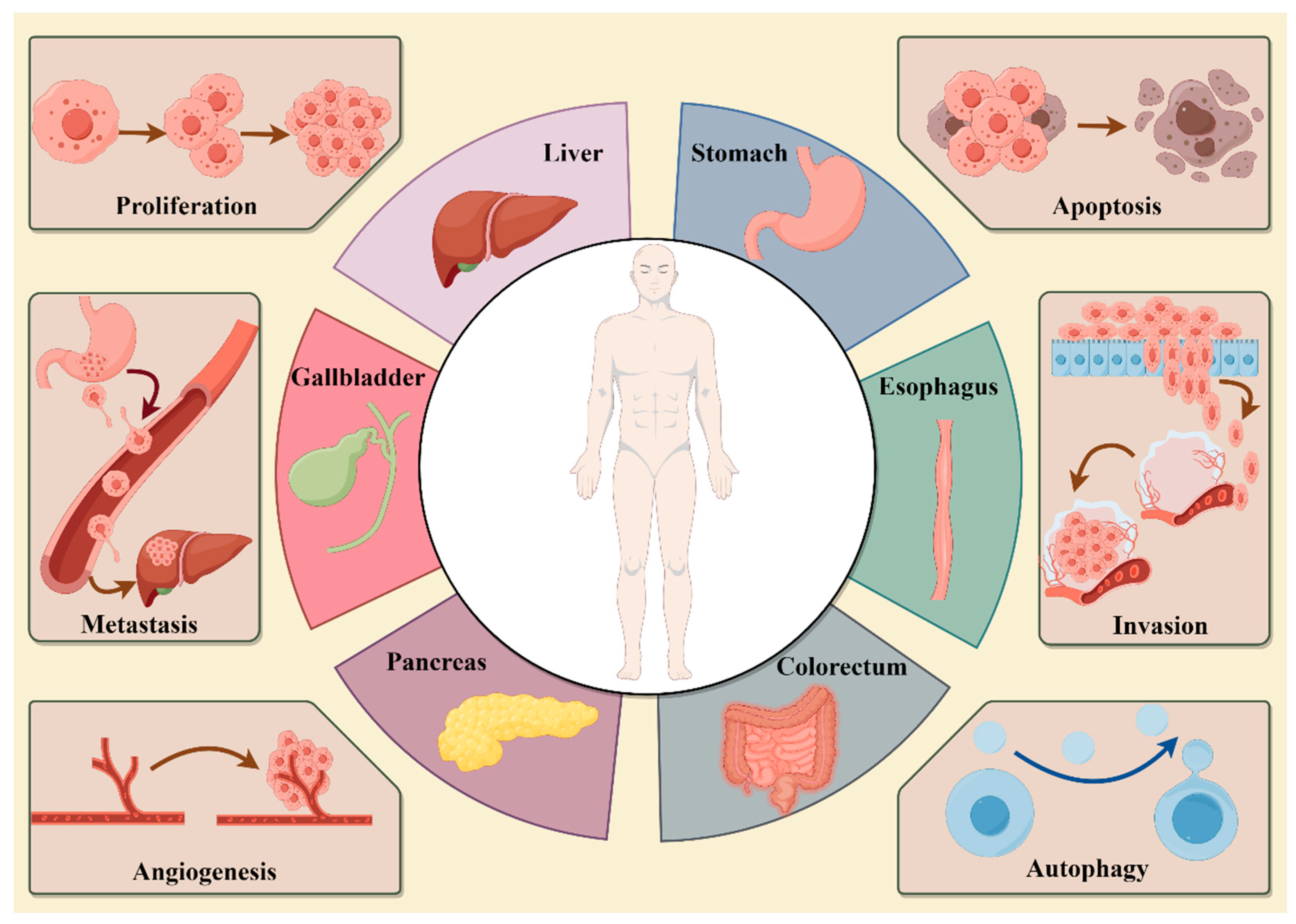 Molecules 29 01843 g004