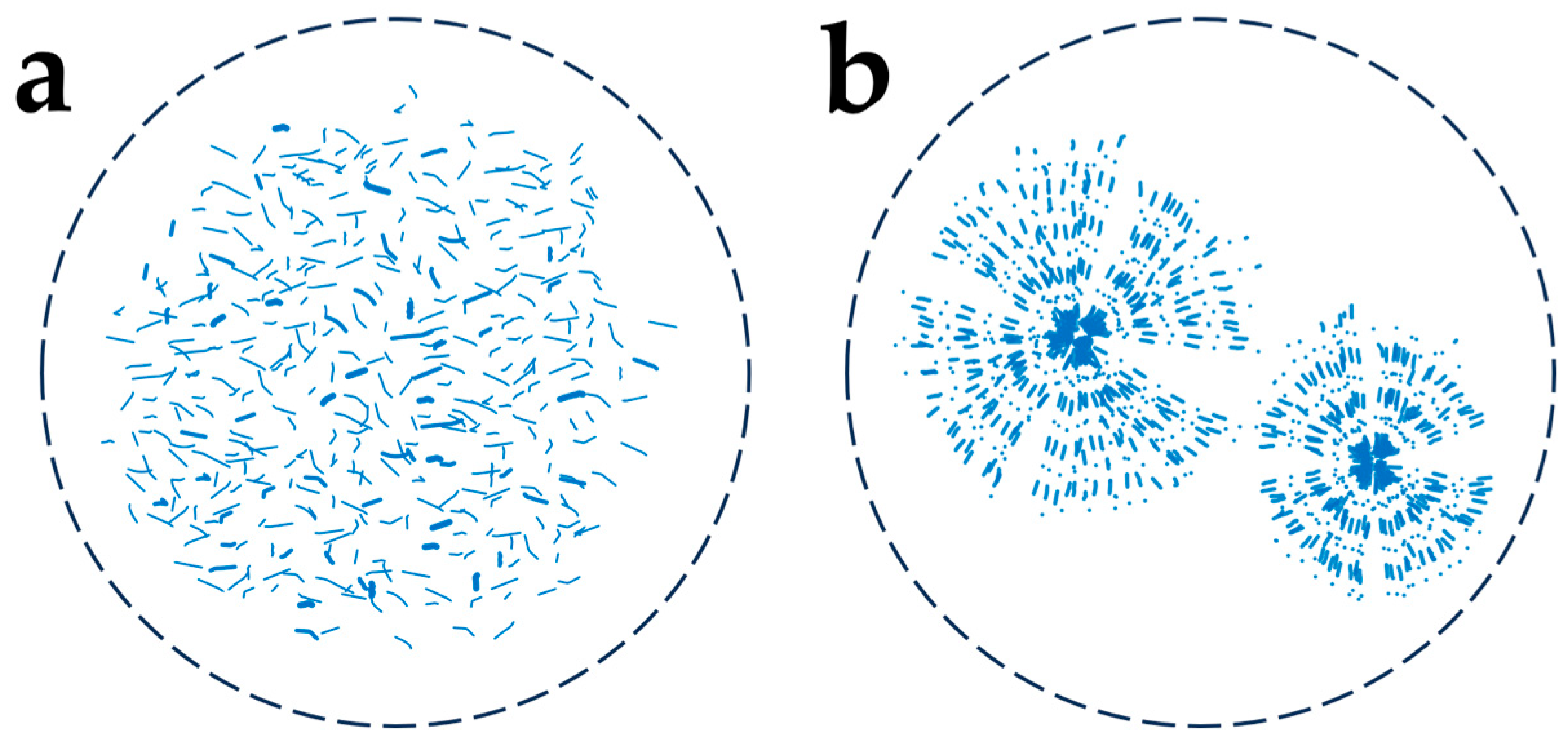 Molecules 29 01847 g002