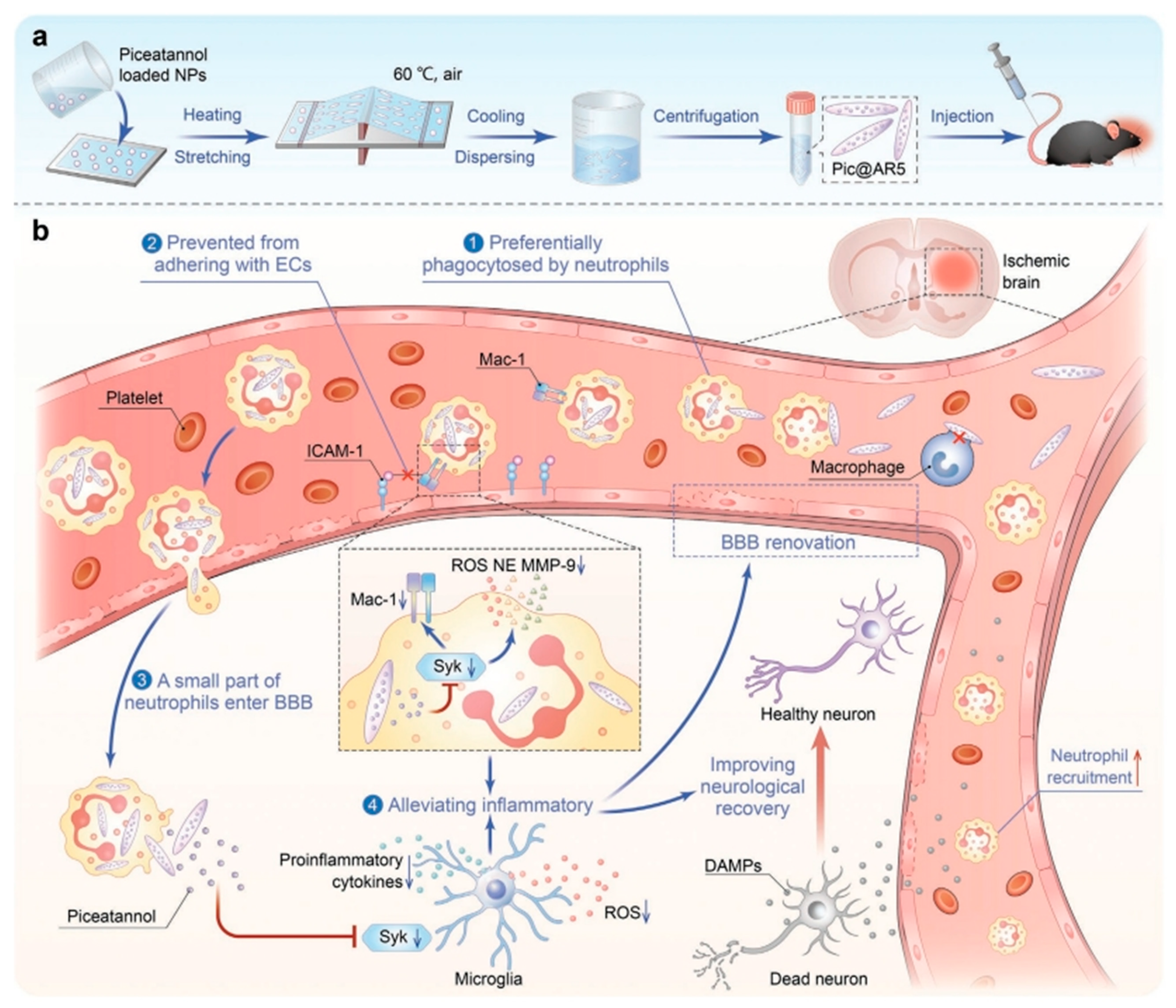 Molecules 29 01848 g002