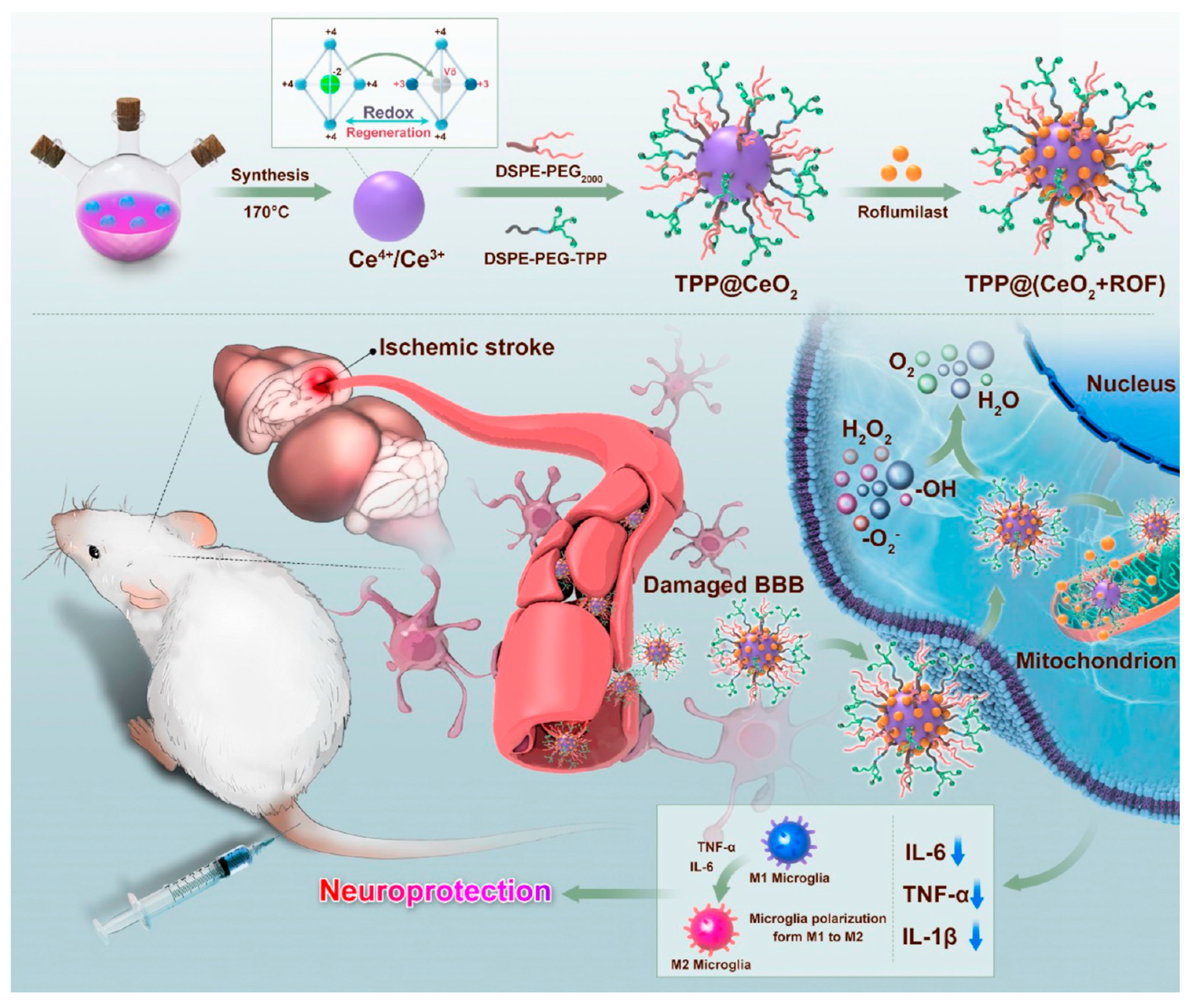 Molecules 29 01848 g003