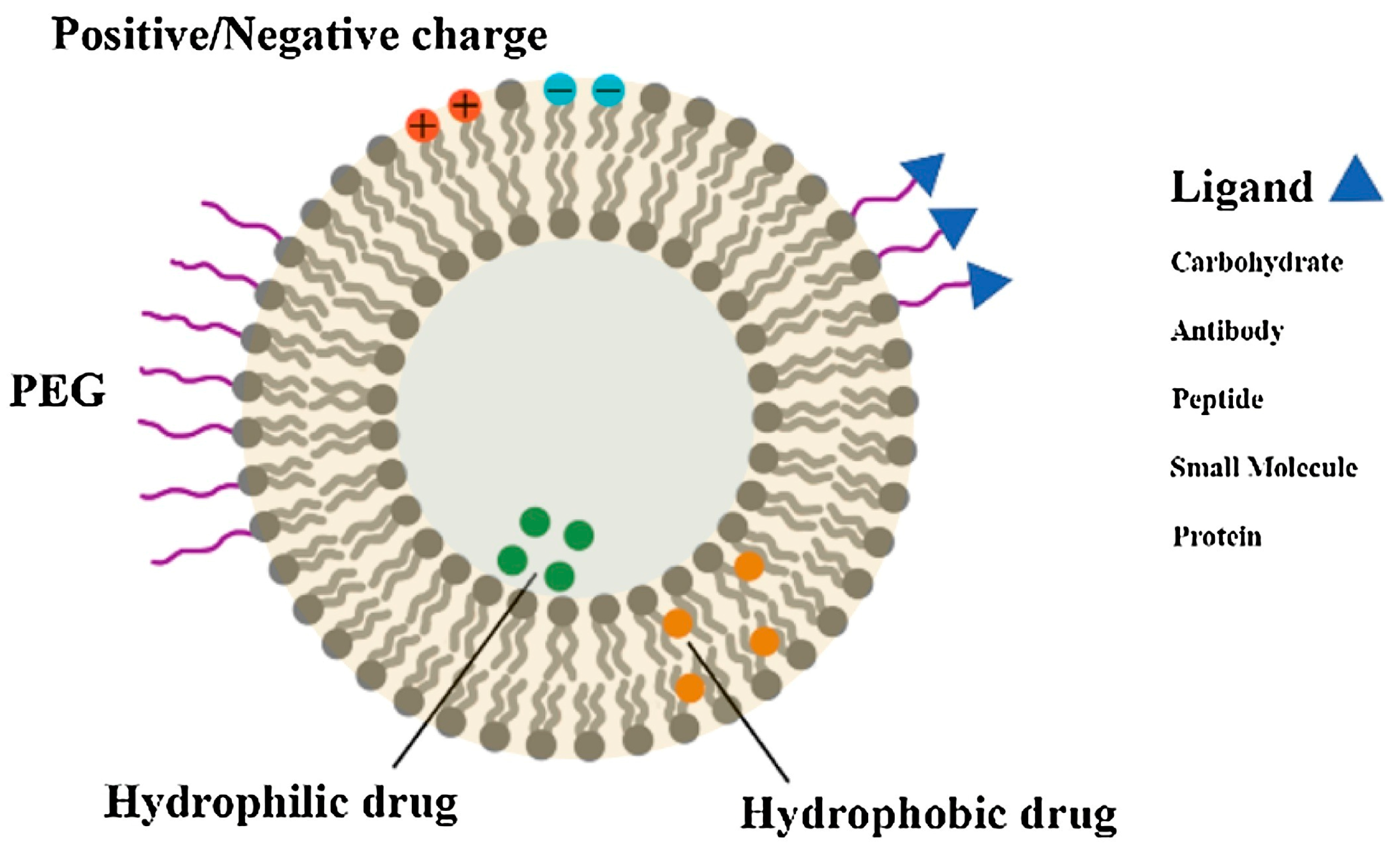 Molecules 29 01848 g004