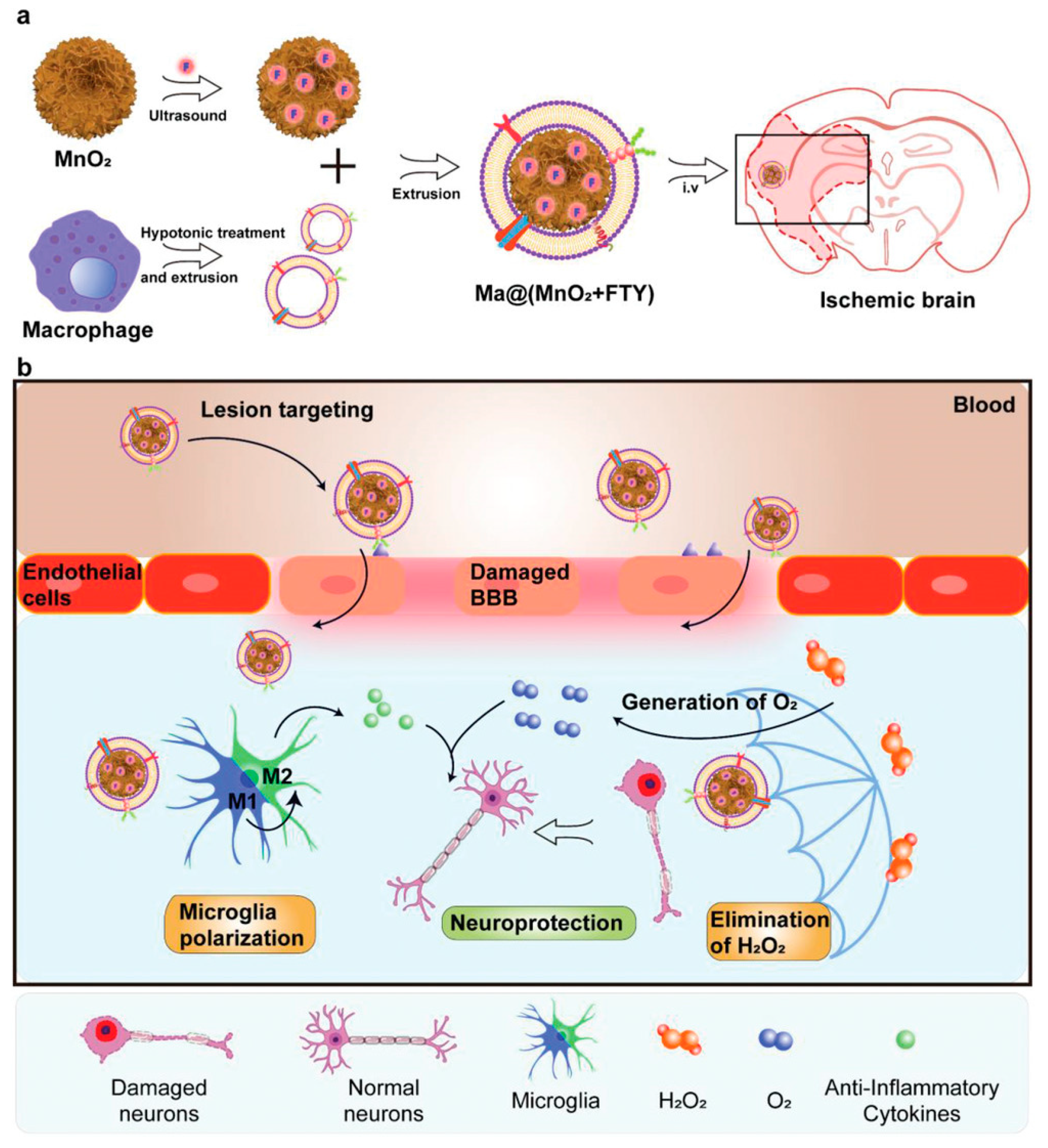 Molecules 29 01848 g009