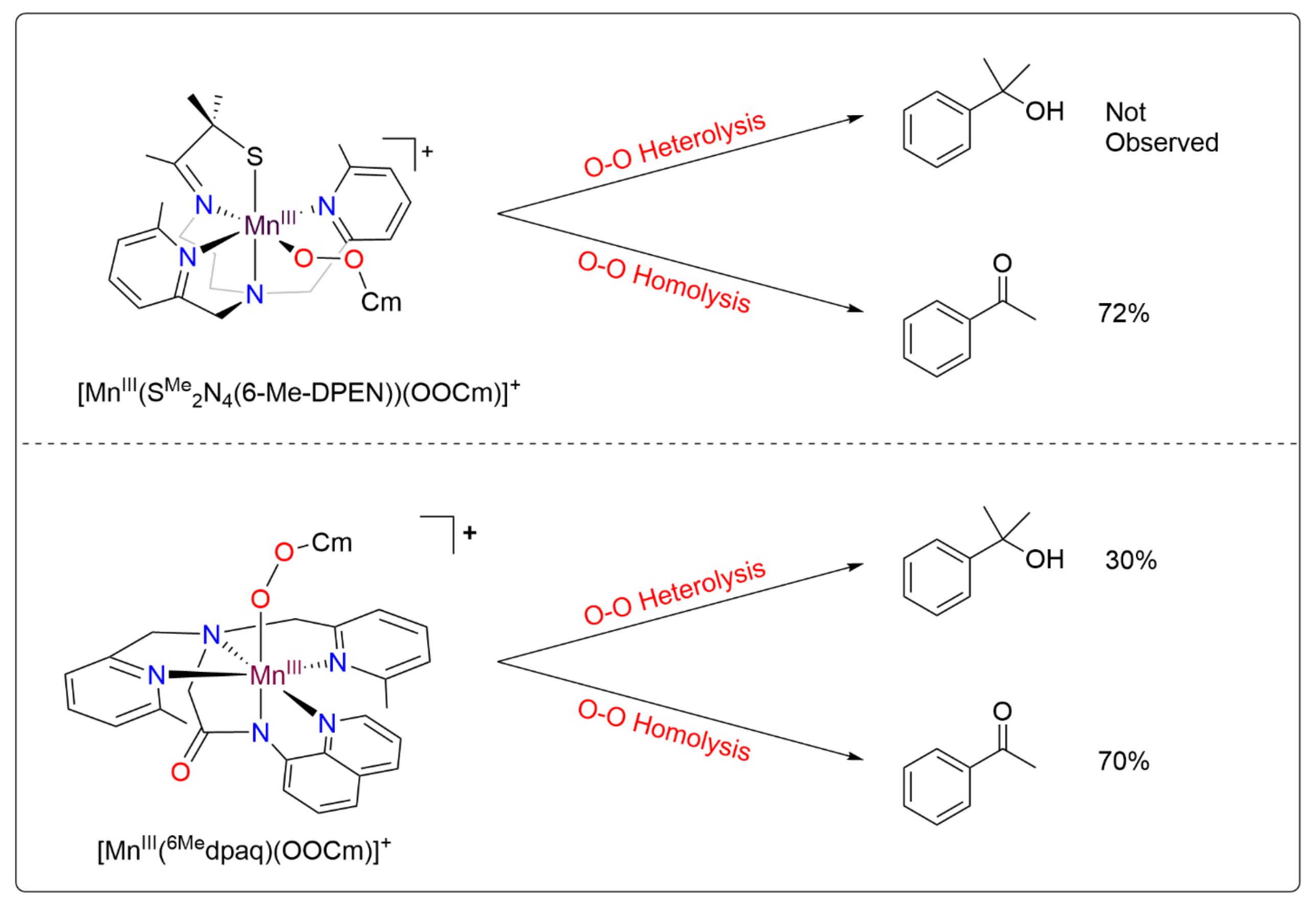 Molecules 29 01849 g001