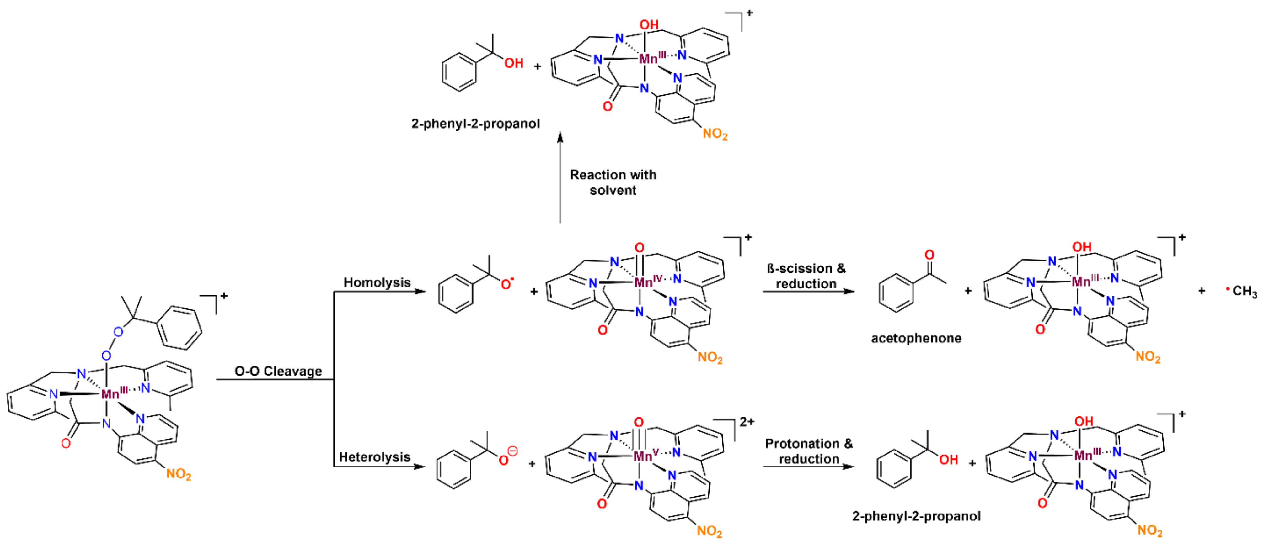 Molecules 29 01849 g011