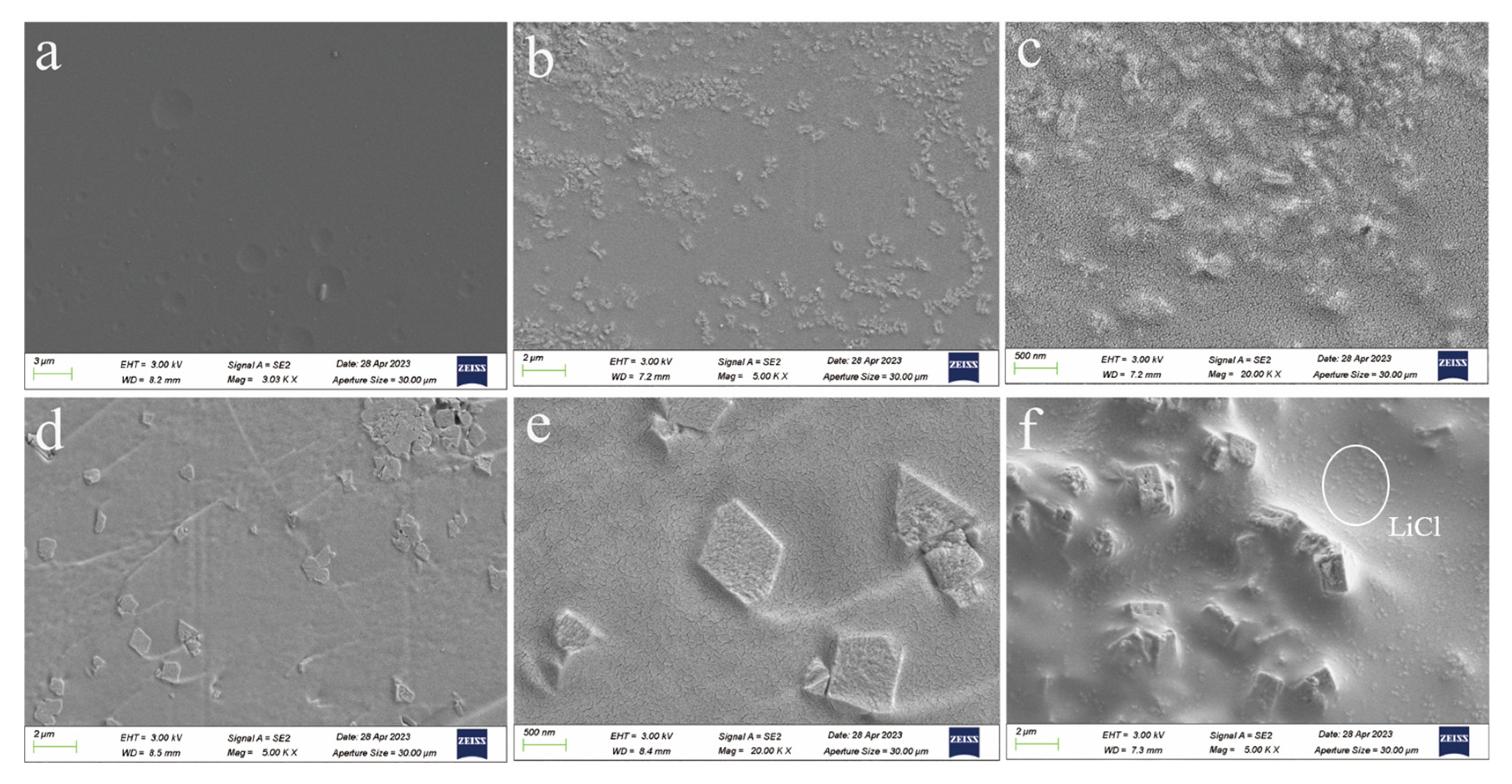 Molecules 29 01851 g004