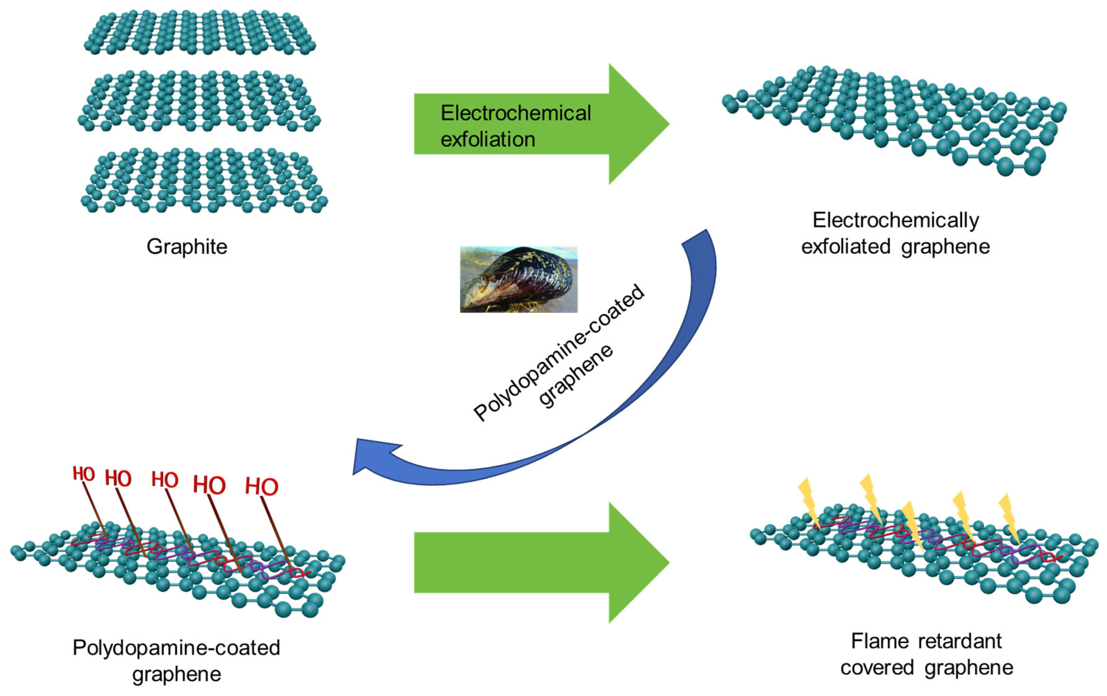 Molecules 29 01858 g003
